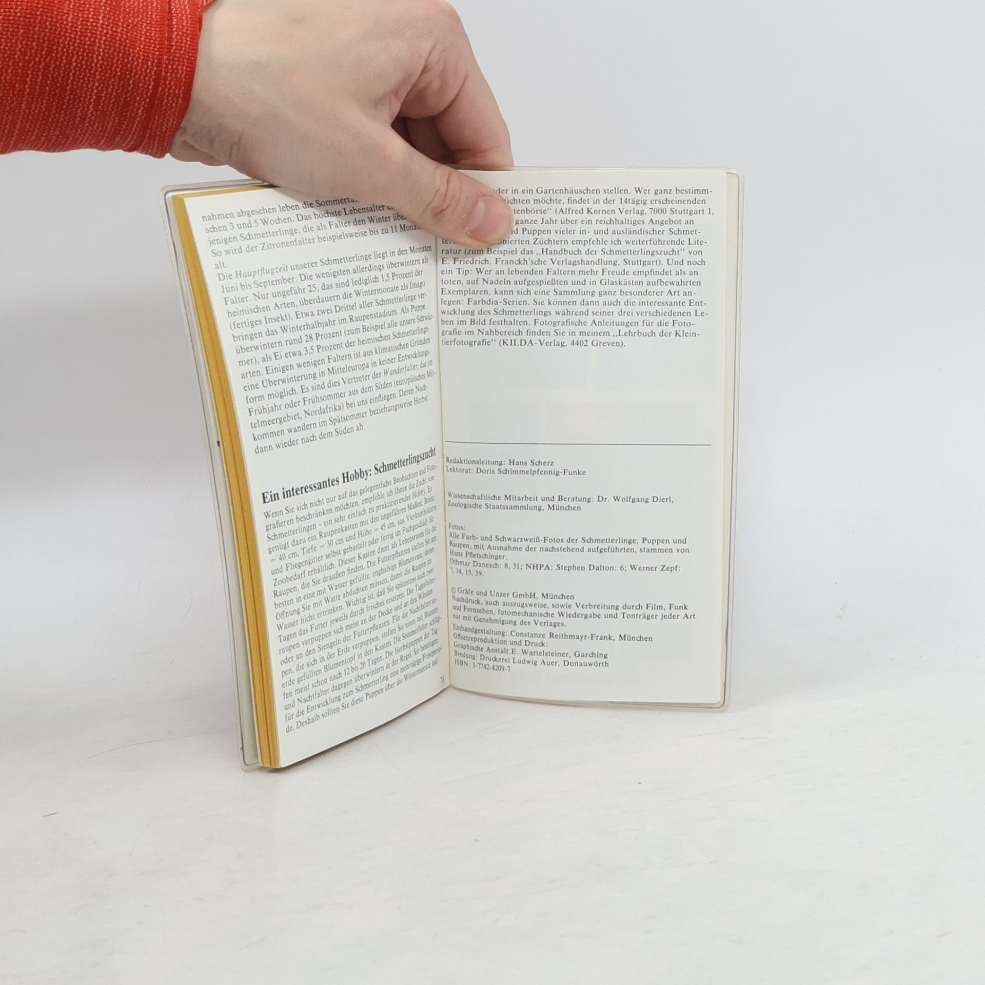 Autorenkollektiv Schmetterlinge Kompass