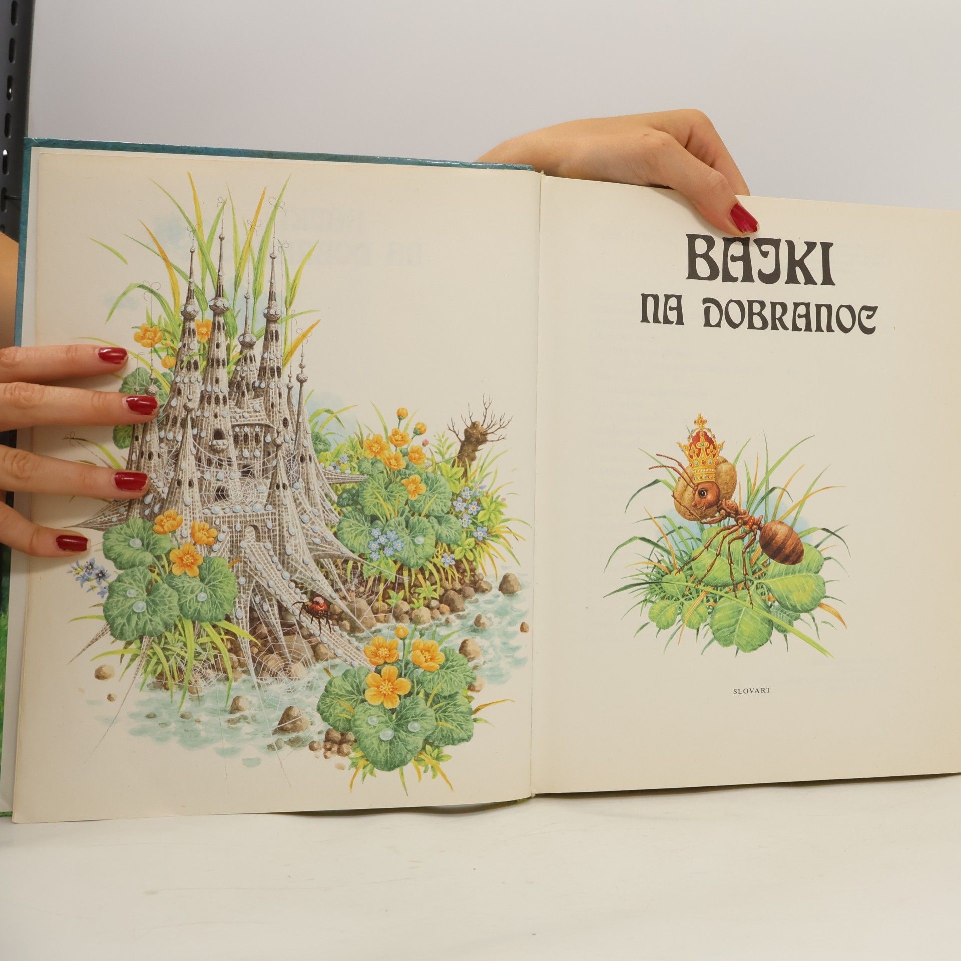 Autorenkollektiv Bajky na dobranoc