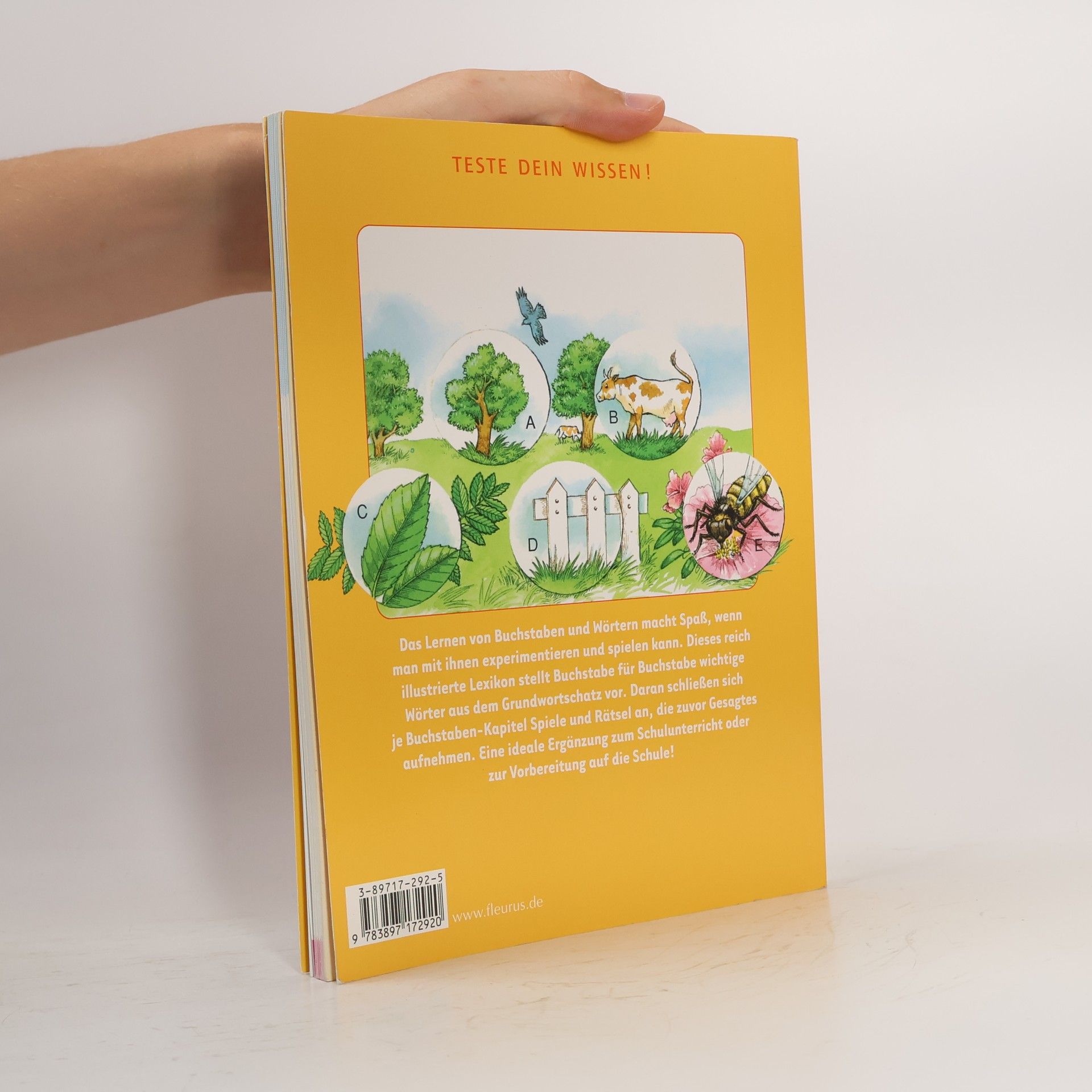 Various authors Teste dein Wissen! Wörter
