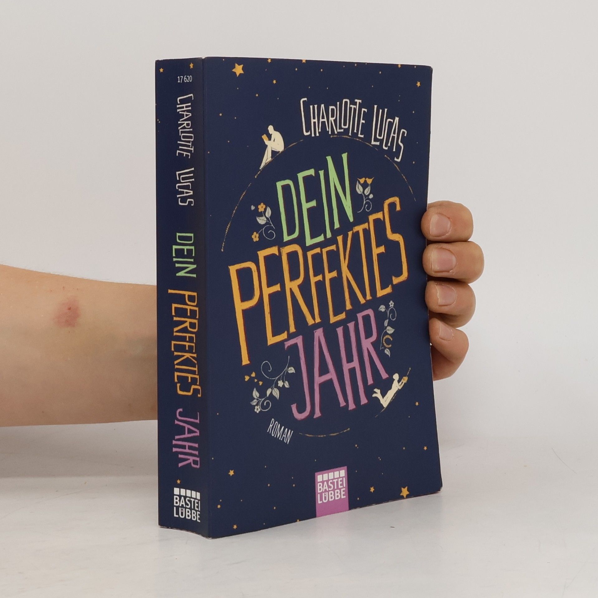 Charlotte Lucas Dein perfektes Jahr