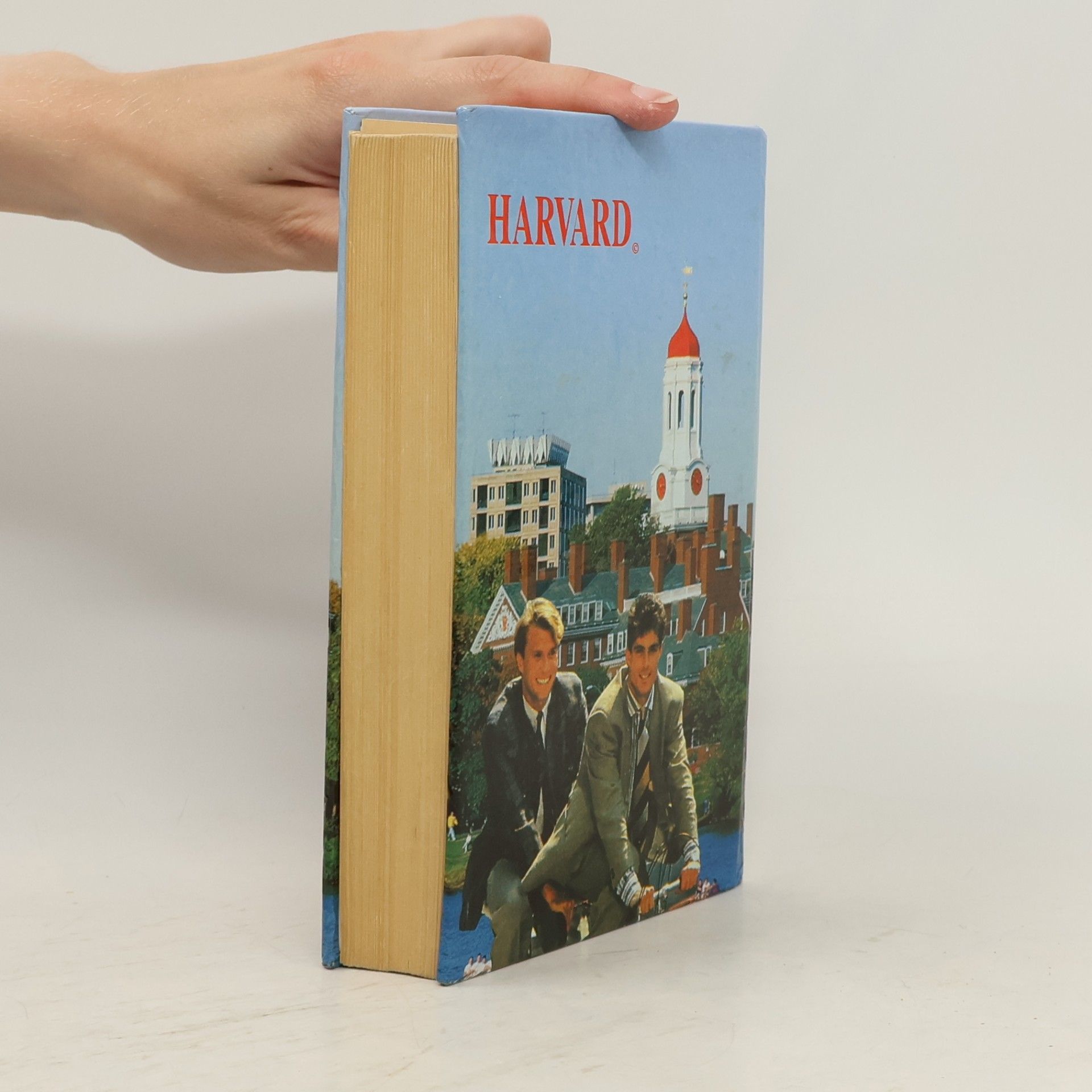 Erich Segal Chlapci z Harvardu