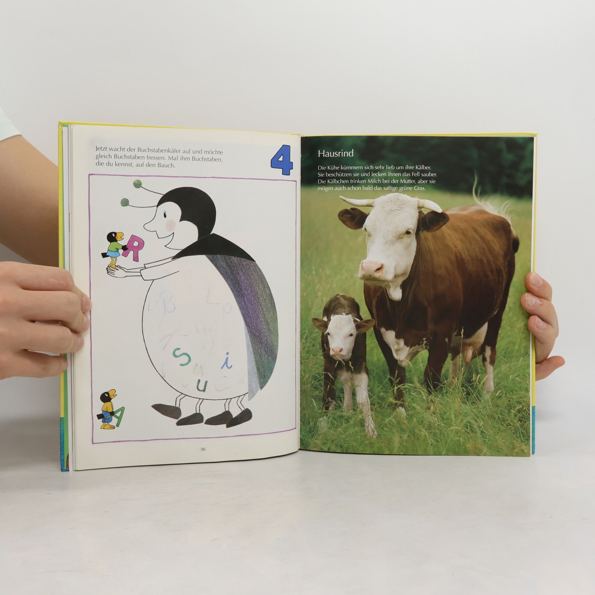 Collectif d'auteurs Das große Spielen und Lernen Jahrbuch für Kinder