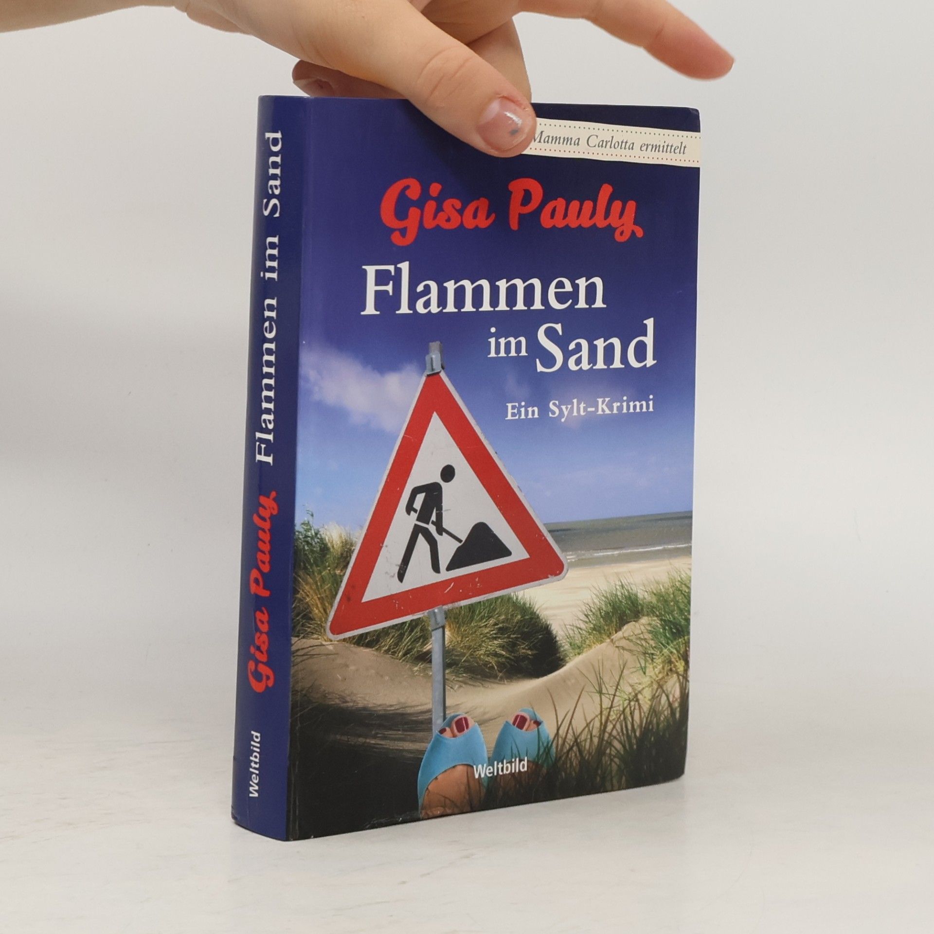 Gisela Pauly Flammen im Sand
