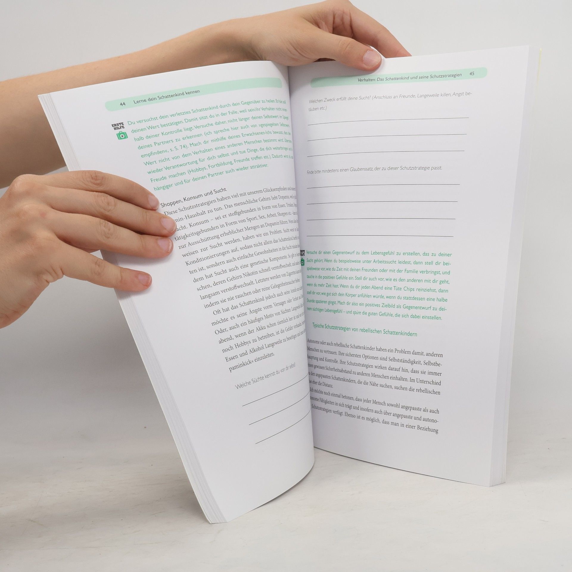 Stefanie Stahl Das Kind in dir muss Heimat finden - das Arbeitsbuch