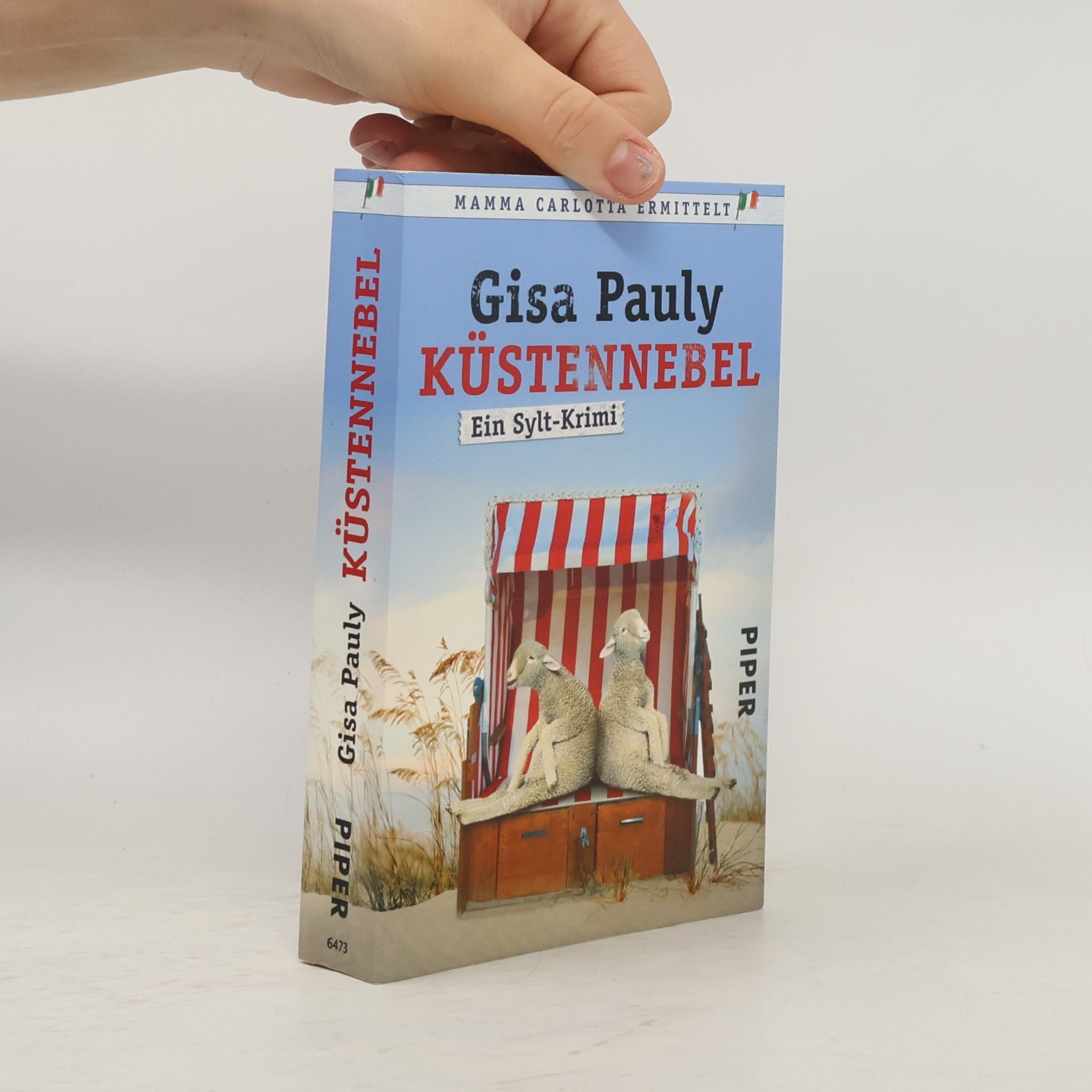 Gisa Pauly Küstennebel