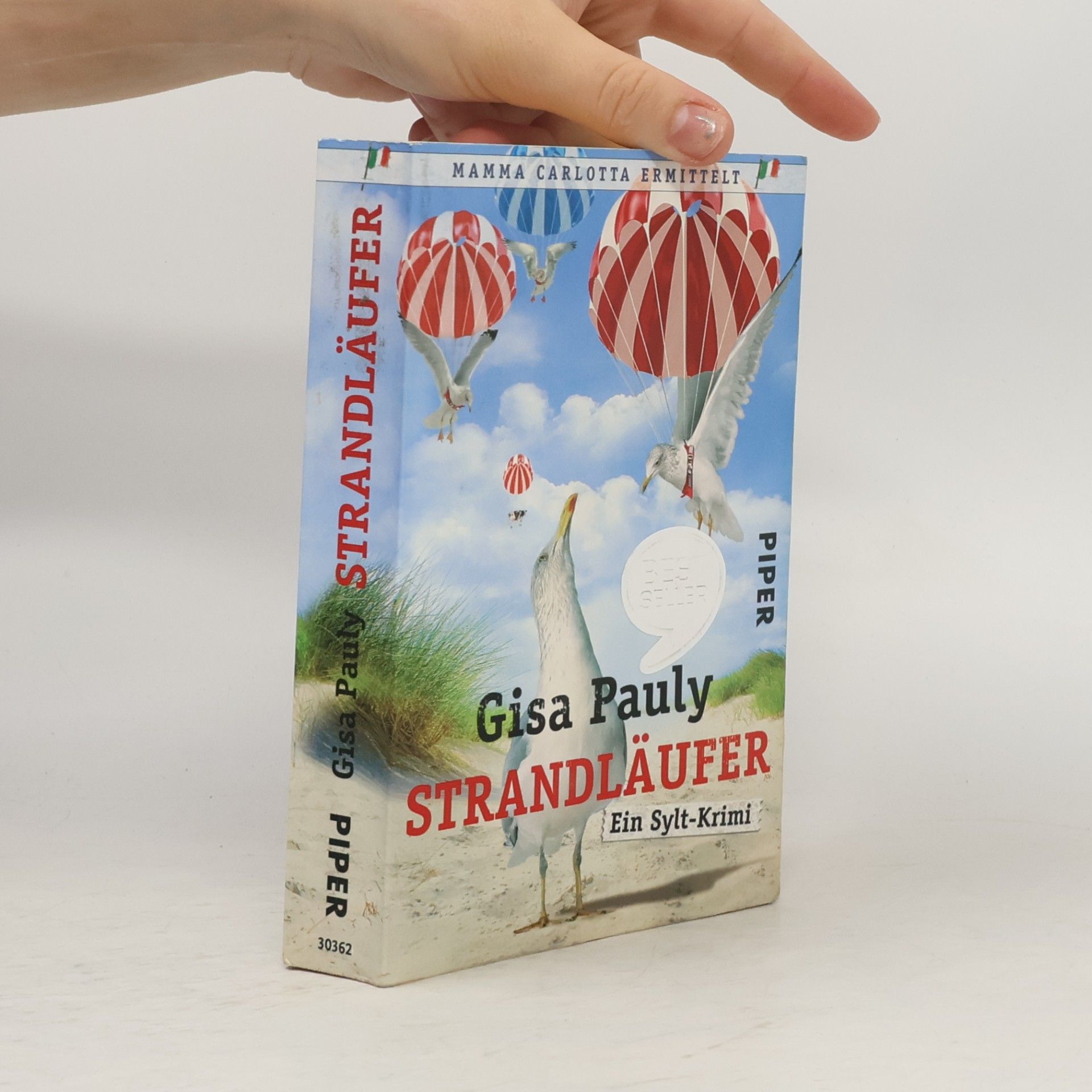 Gisa Pauly Strandläufer