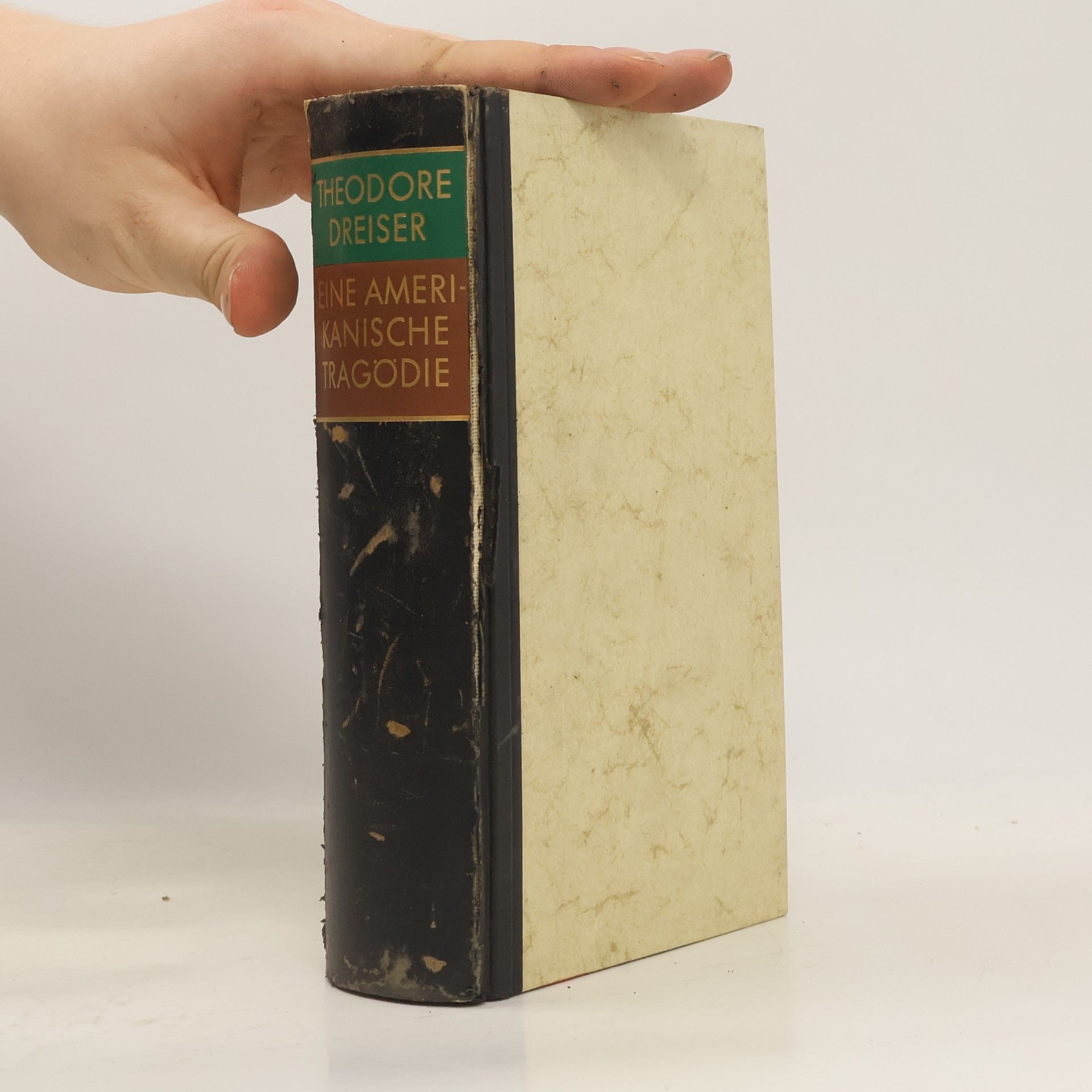 Theodore Dreiser Eine amerikanische Tragödie