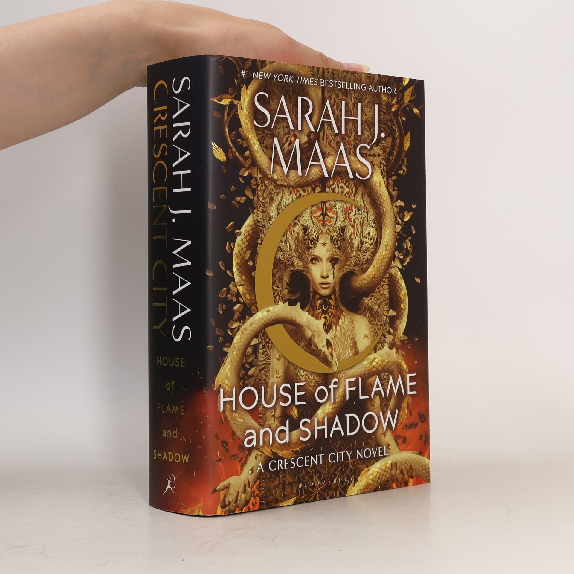 Sarah J. Maas House of Flame and Shadow