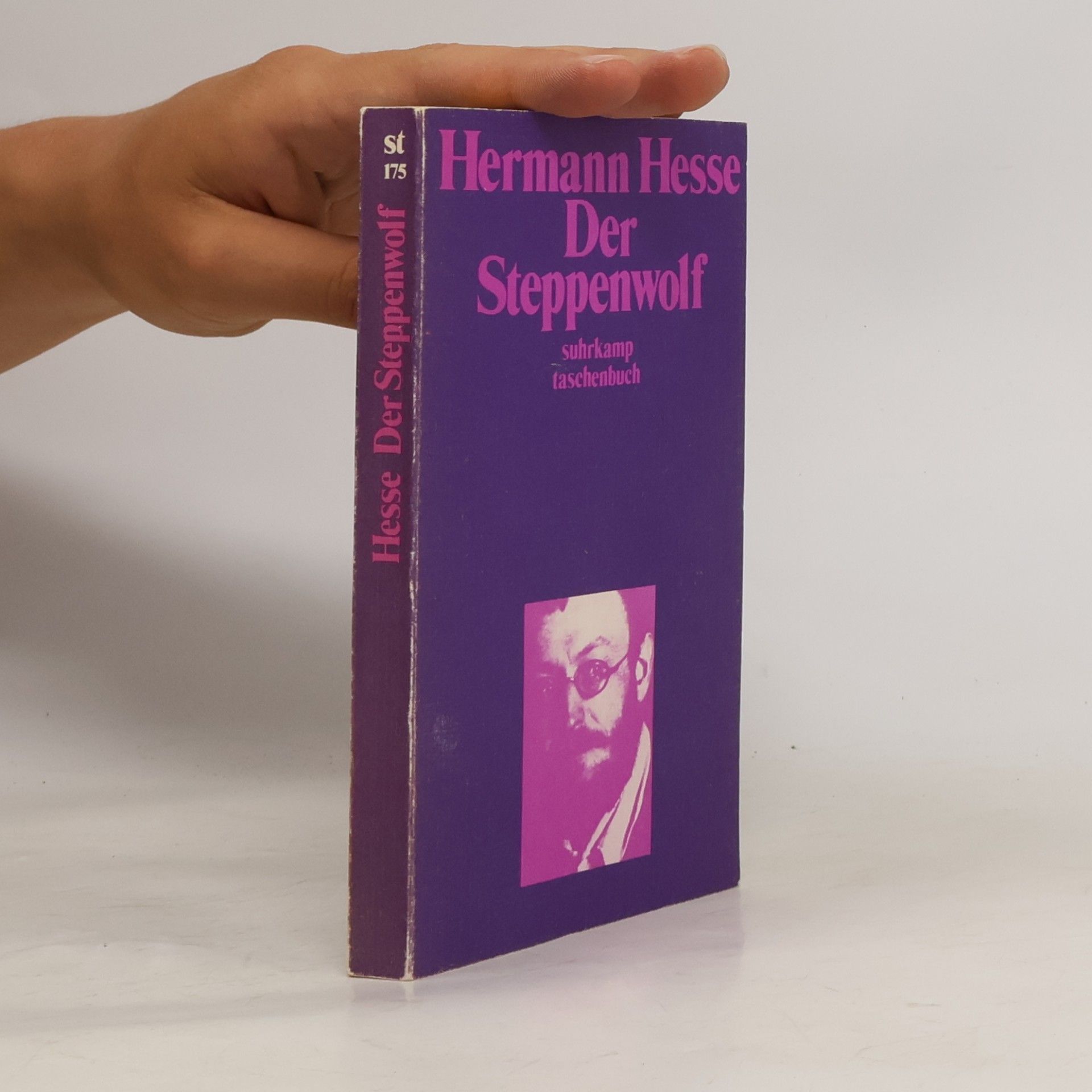 Hermann Hesse Der Steppenwolf