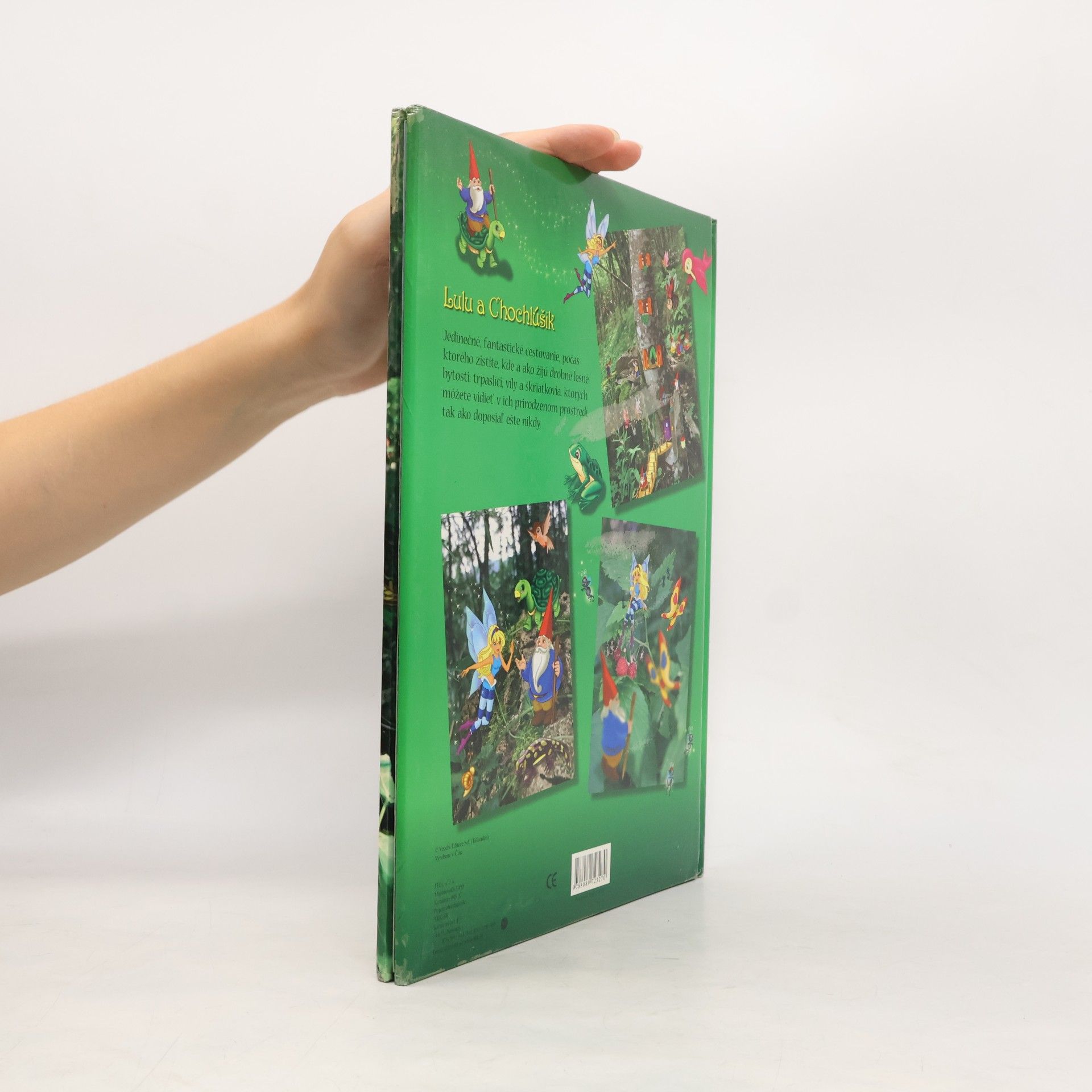Collectif d'auteurs Príbehy zo Začarovaného lesa - Lulu a Chocholúšik