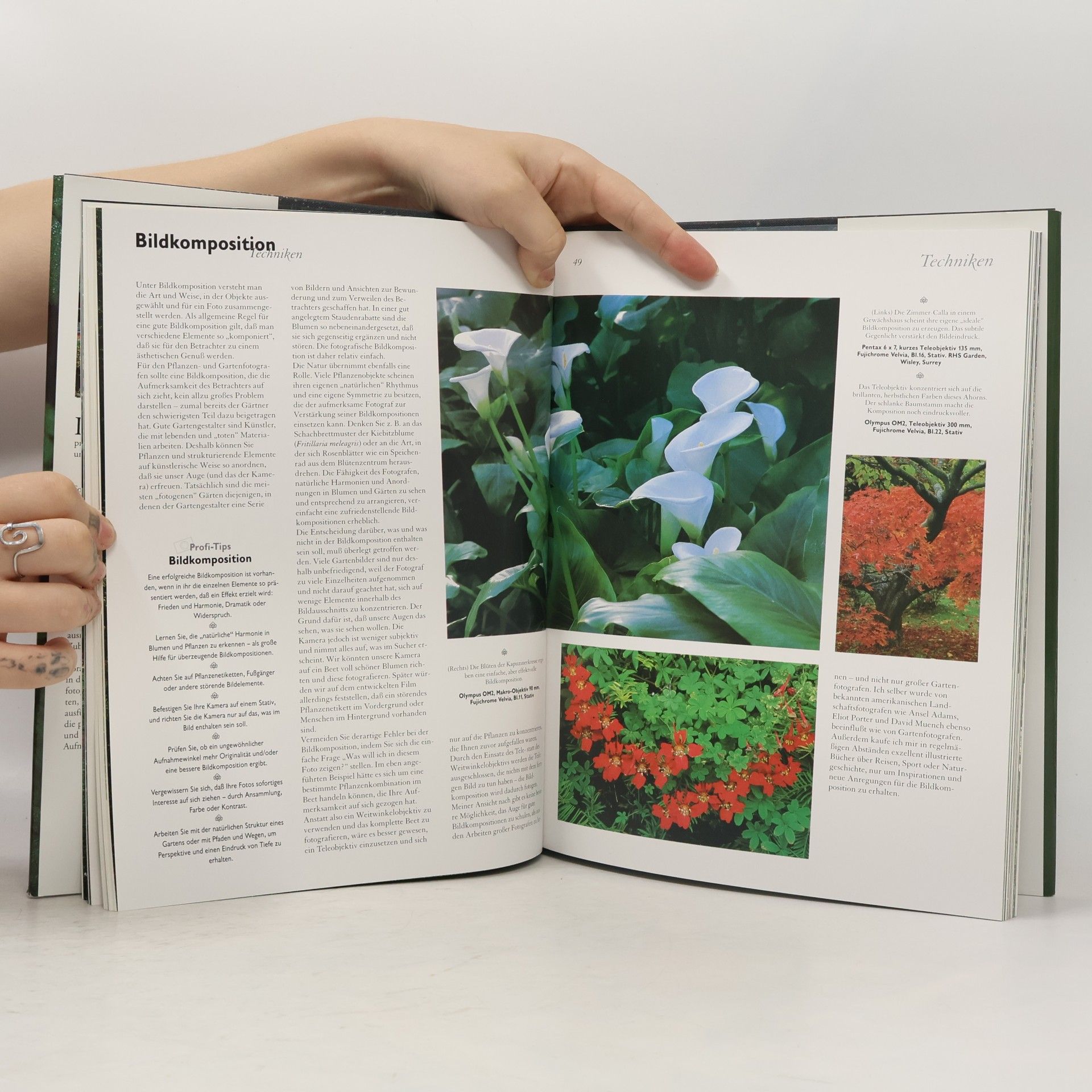 Clive Nichols Blumen & Gärten stimmungsvoll fotografieren