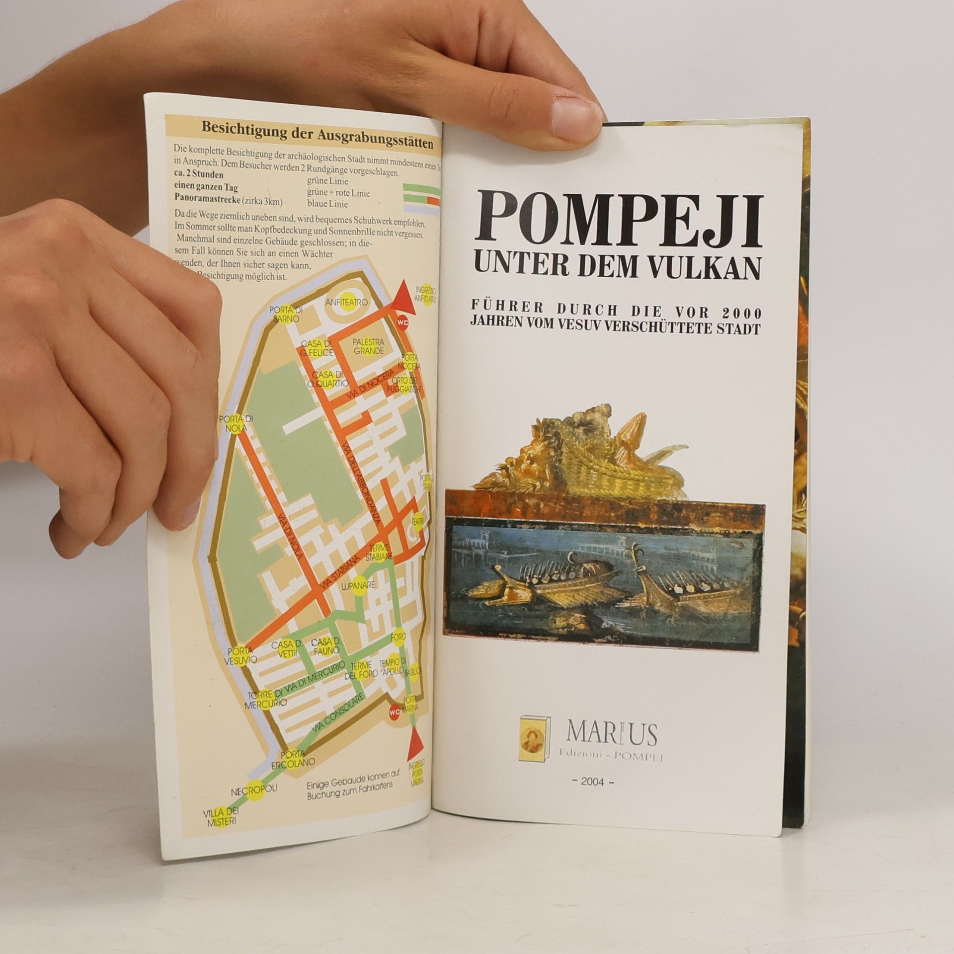 kolektiv Pompeji - Unter dem Vulkan