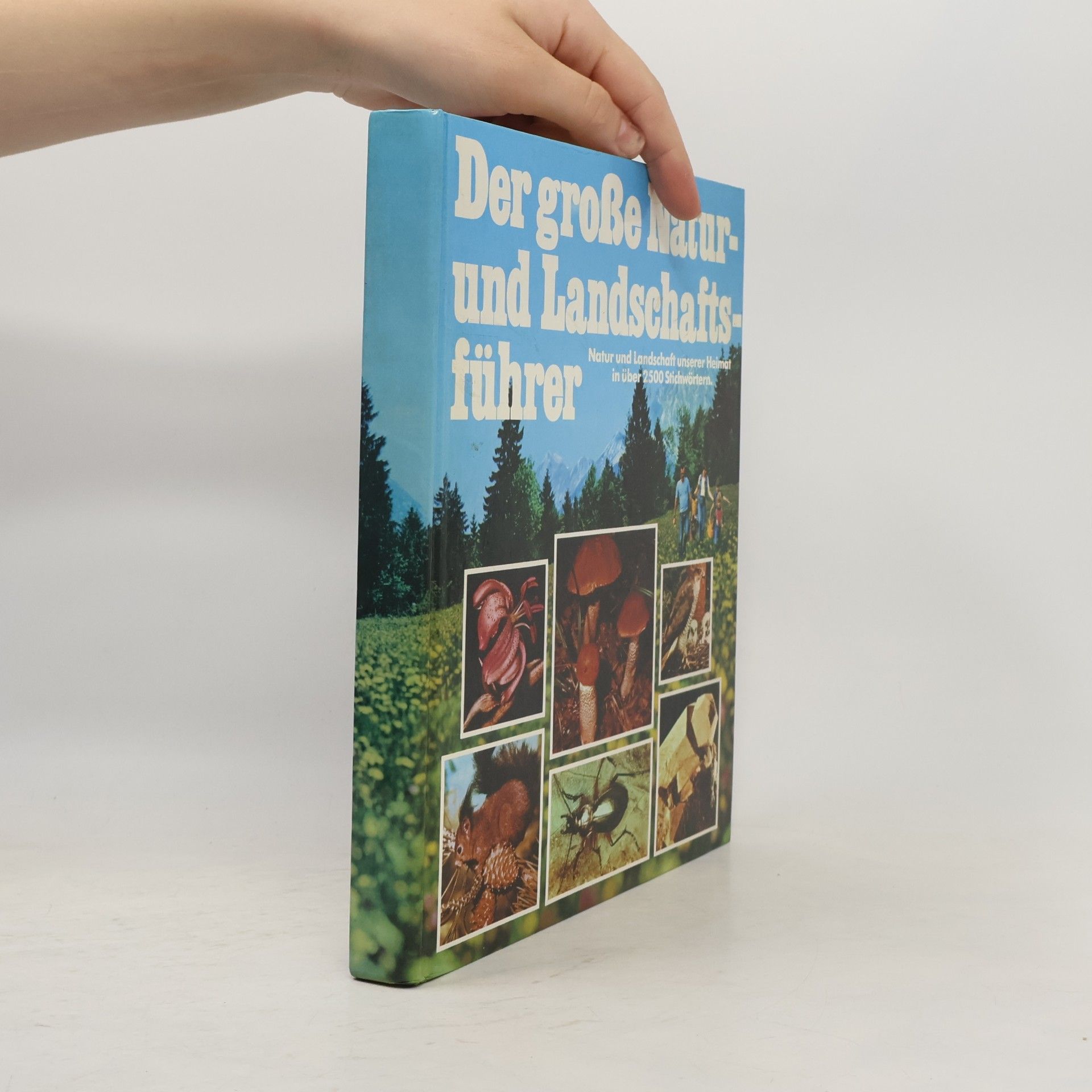 AA.VV. Der große natur und landschaftsführer