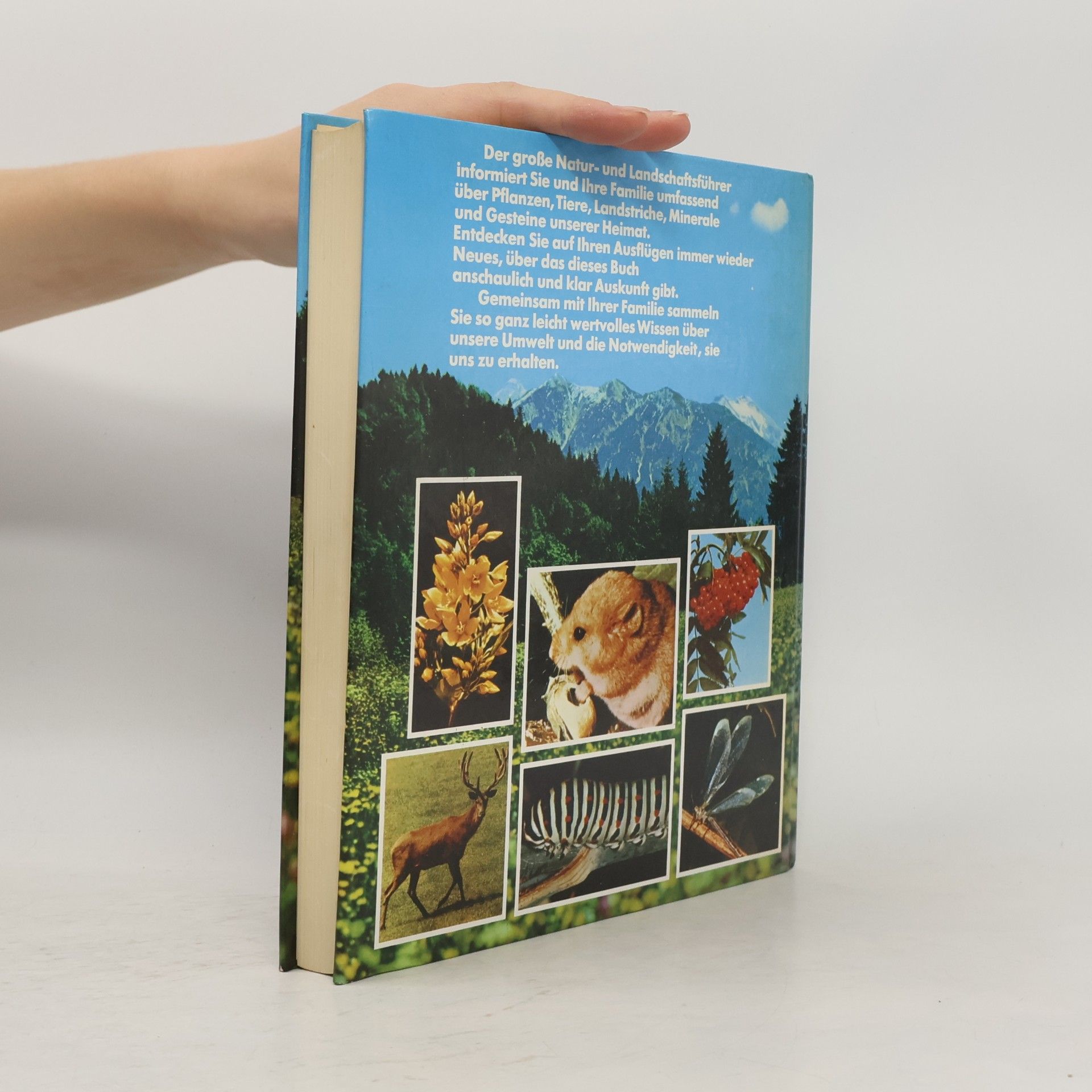 Autorenkollektiv Der große natur und landschaftsführer