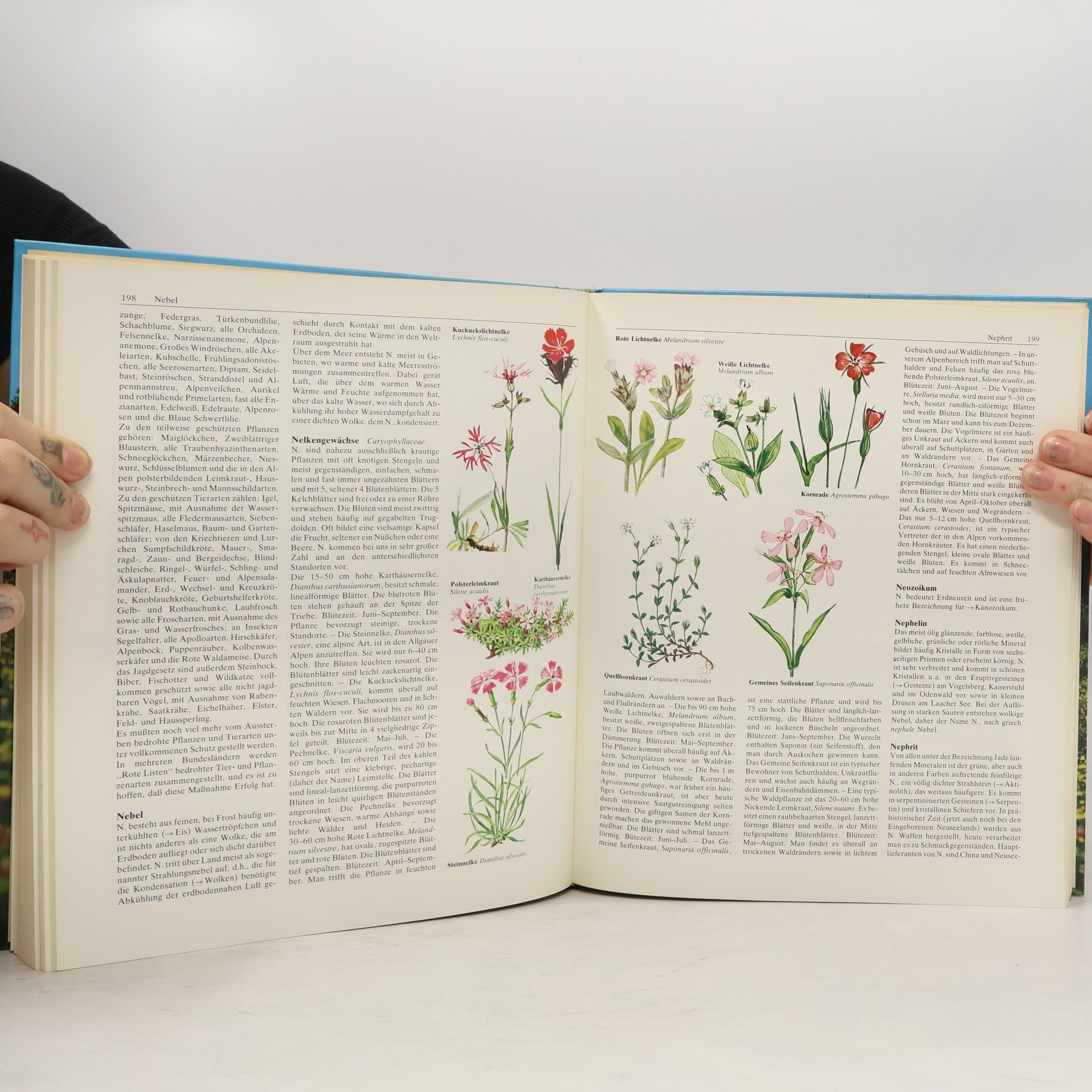 Autorenkollektiv Der große natur und landschaftsführer