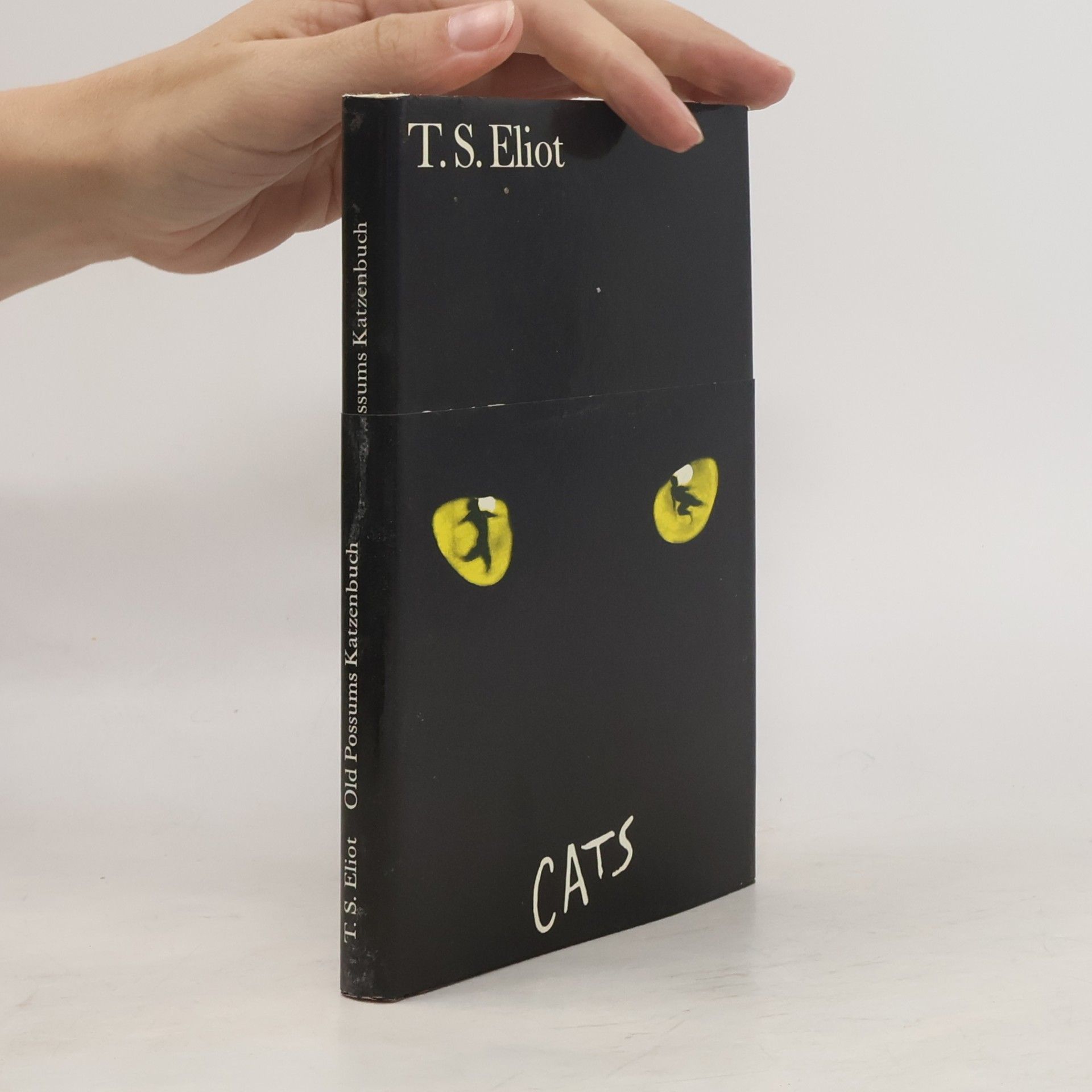 Old Possums Katzenbuch. Cats