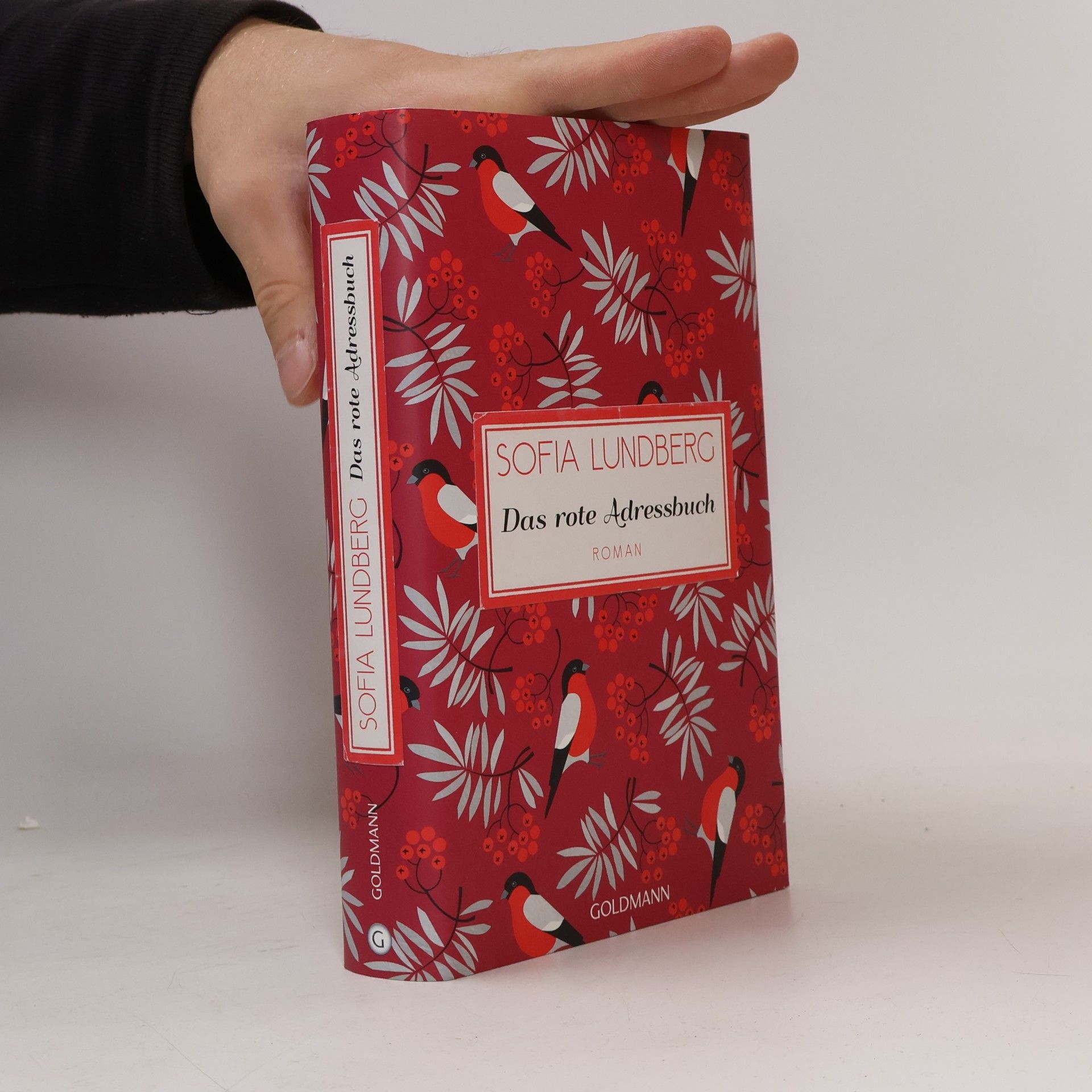 Sofia Lundberg Das rote Adressbuch
