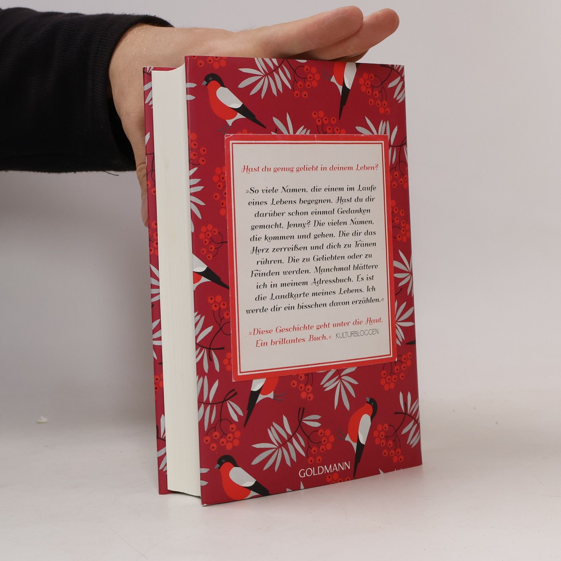 Sofia Lundberg Das rote Adressbuch