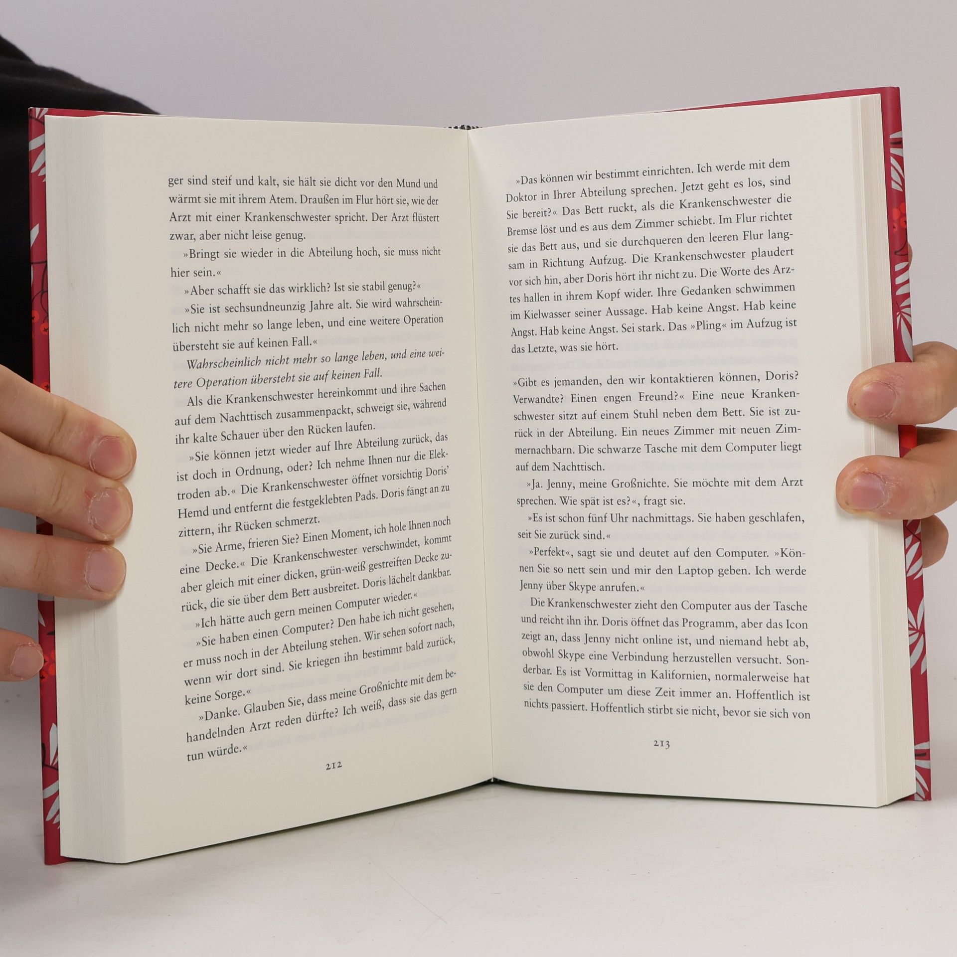 Sofia Lundberg Das rote Adressbuch