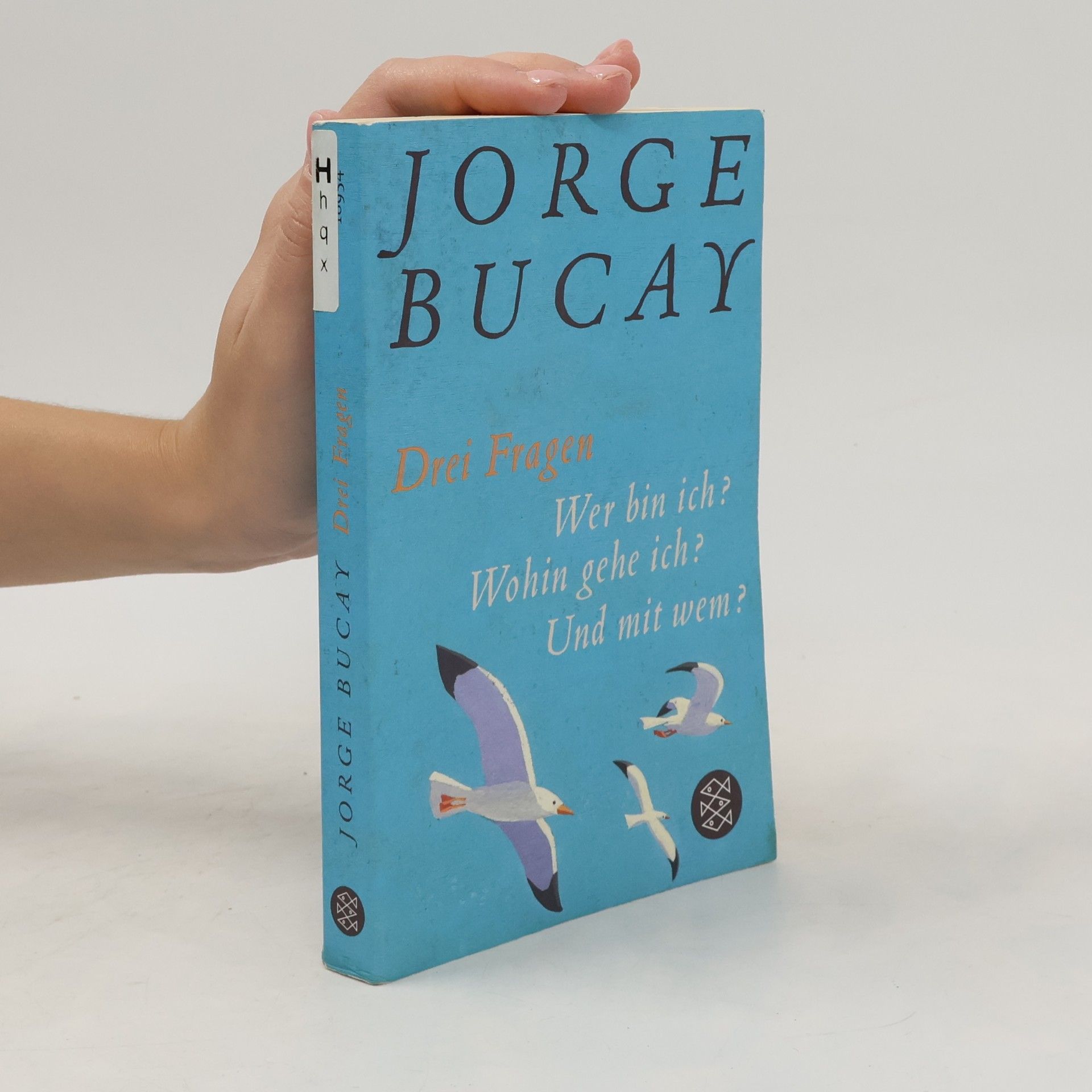 Jorge Bucay Drei Fragen