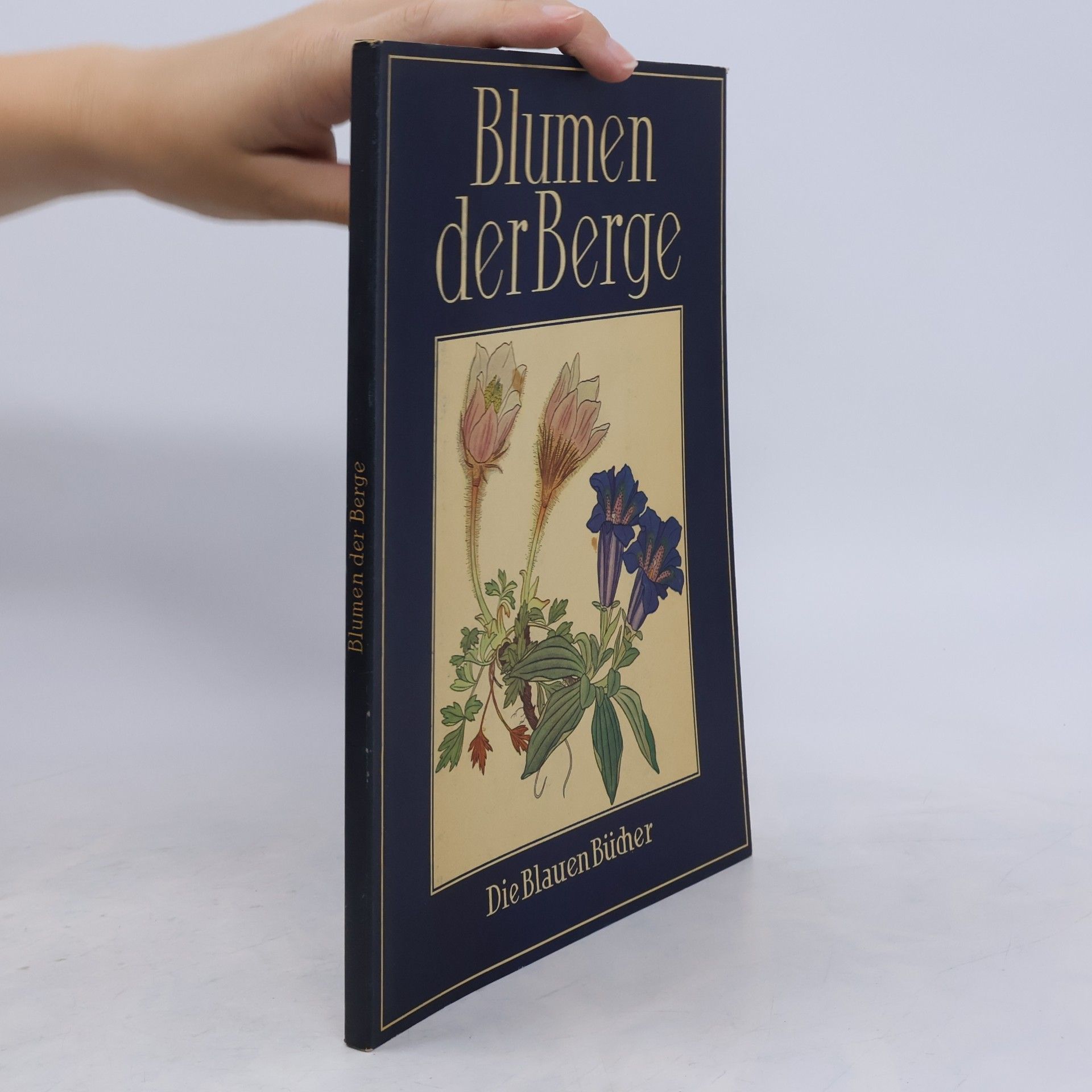 kolektiv Blumen der Berge