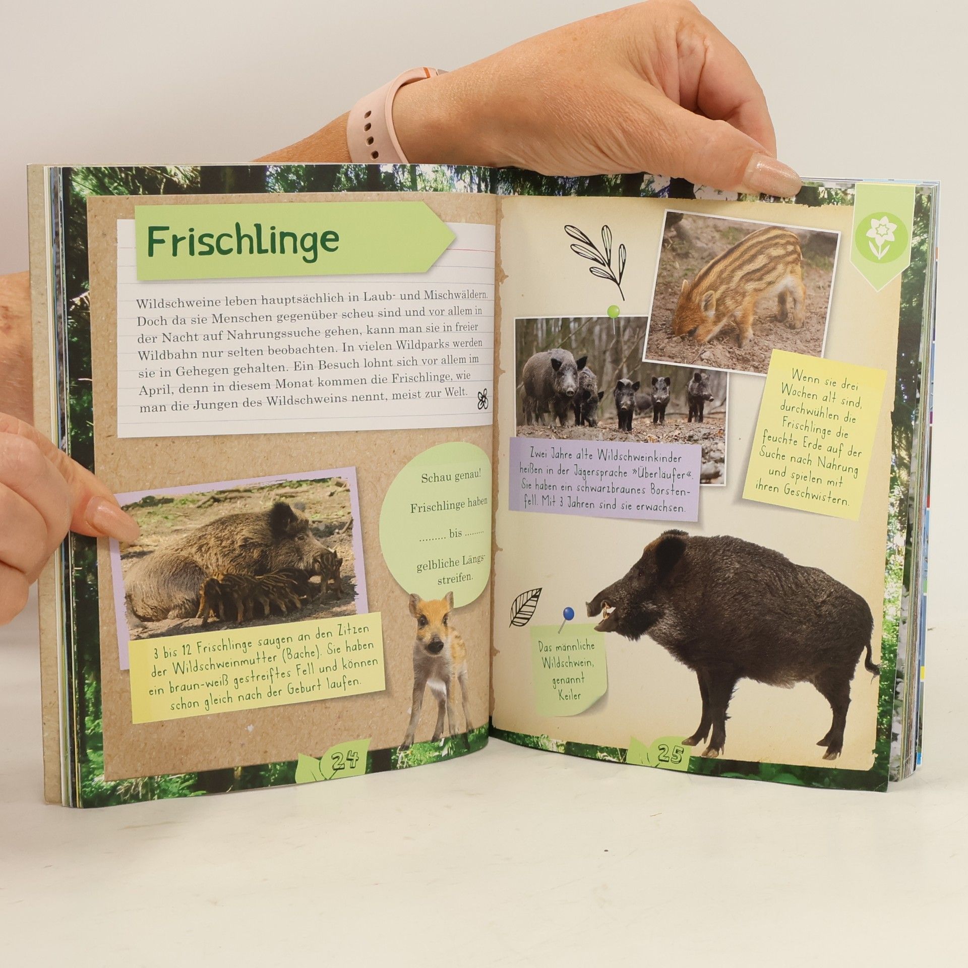 Anita van Saan Das Naturforscher Buch
