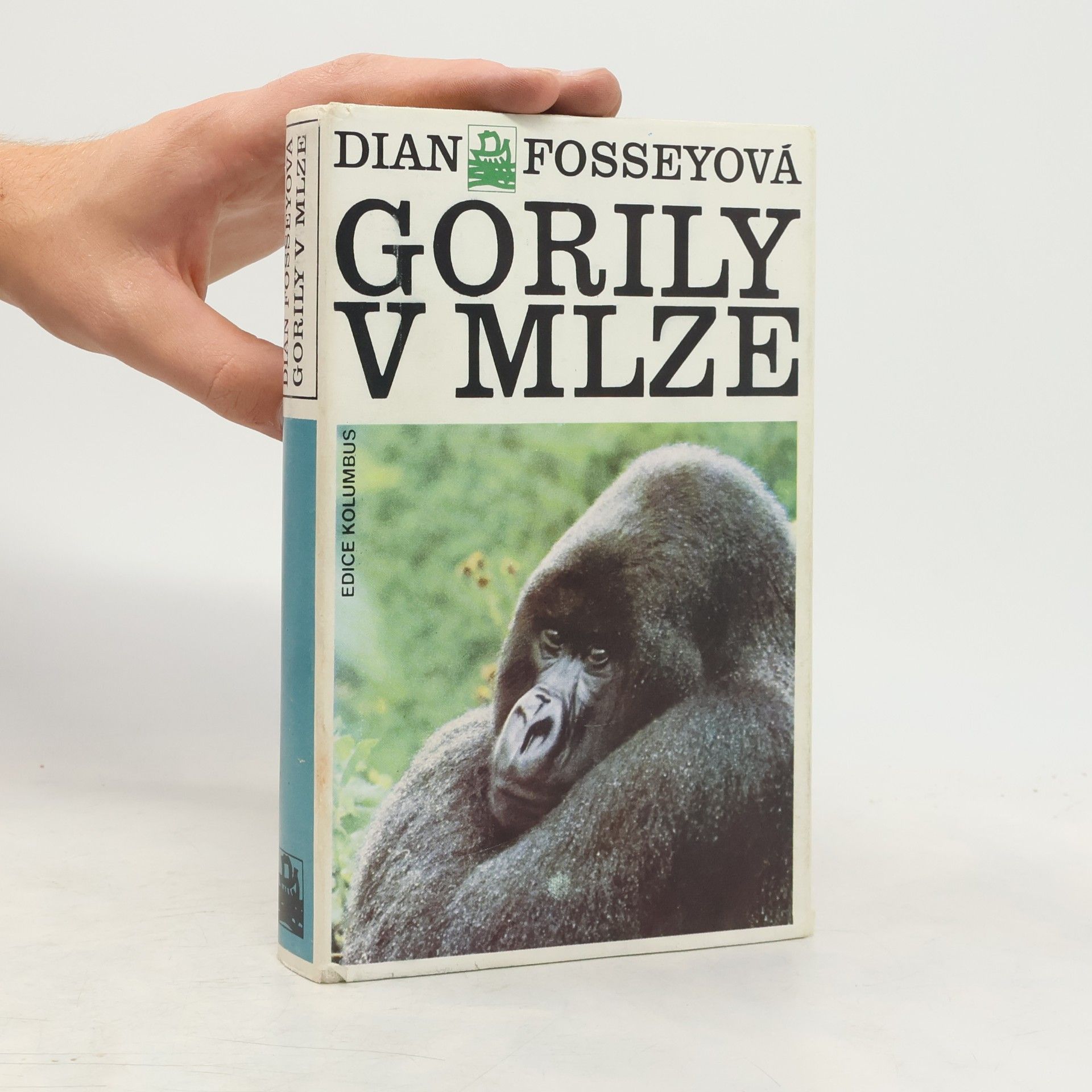 Dian Fossey Gorily v mlze