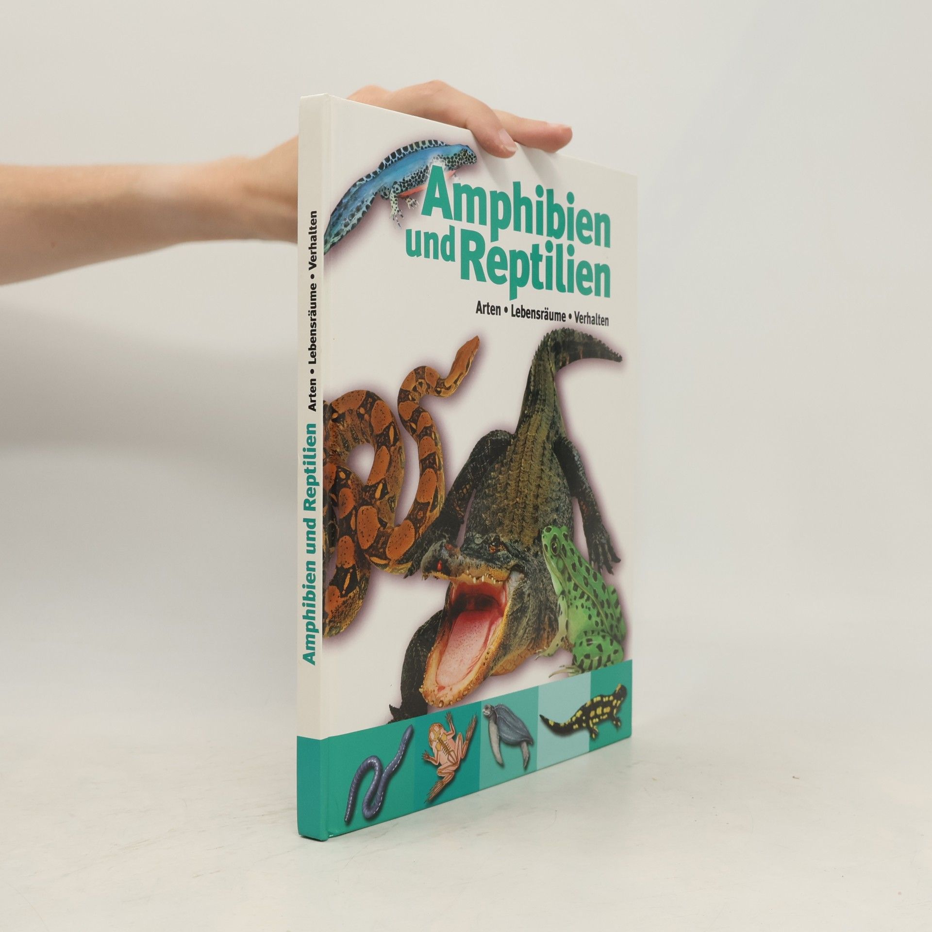 Collectif d'auteurs Die Amphibien & Reptilien