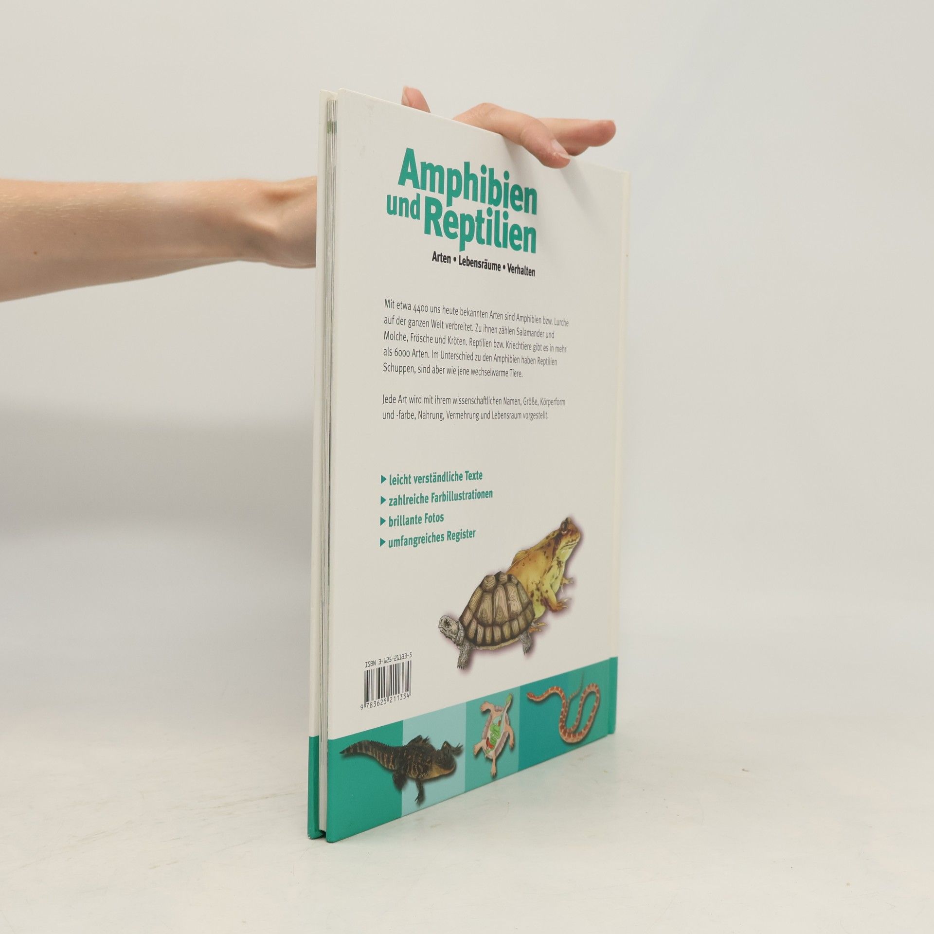 Die Amphibien & Reptilien