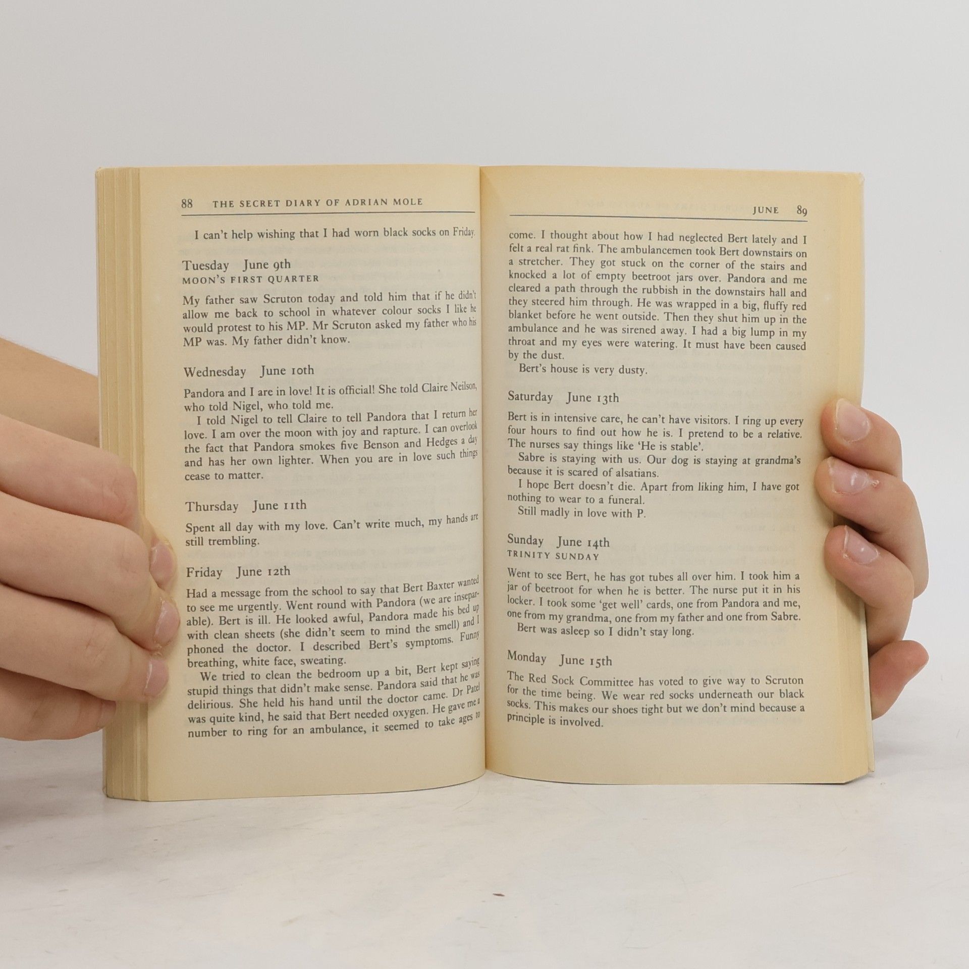 Sue Townsend The Secret Diary of Adrian Mole Aged 13 3/4