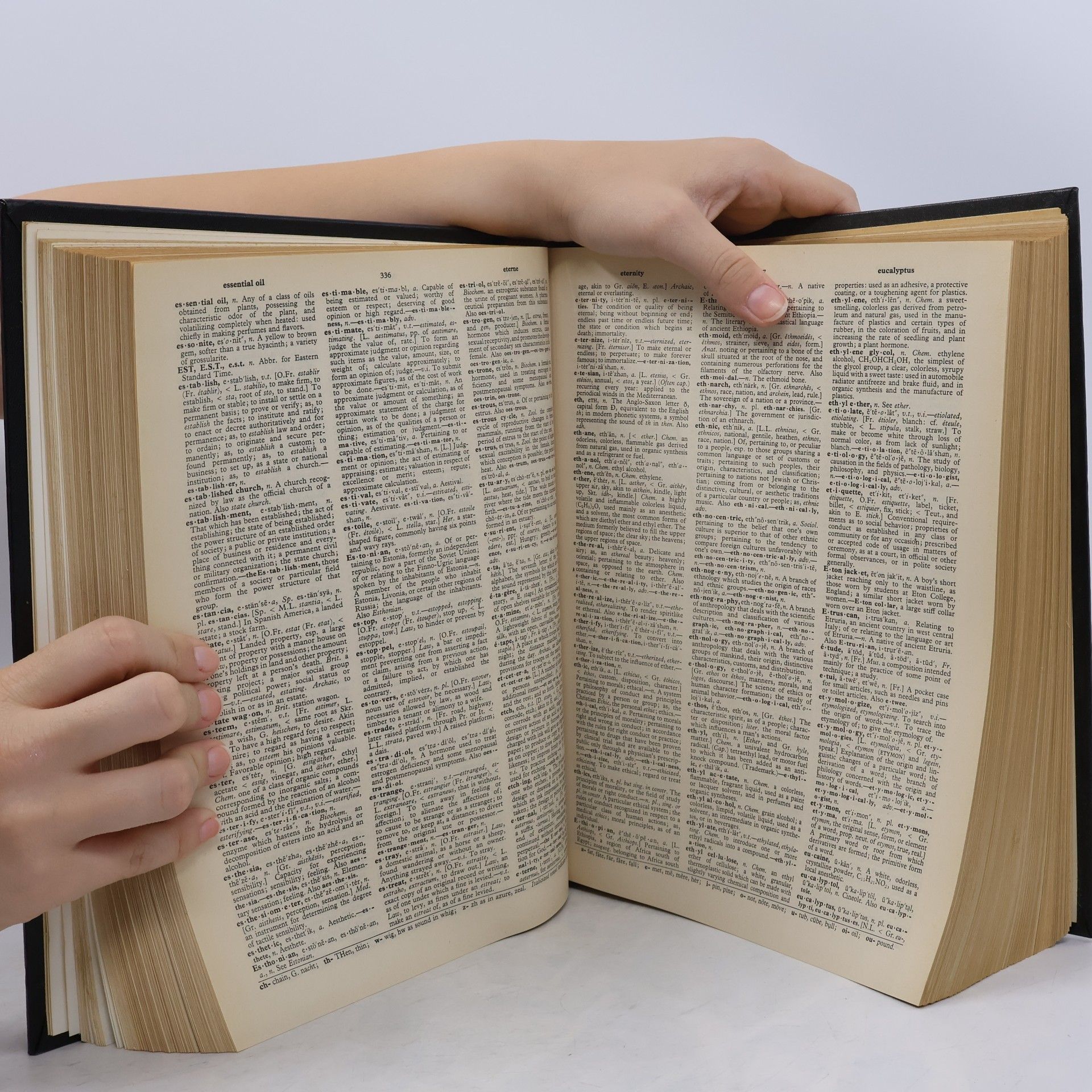 Autorenkollektiv New Webster's Dictionary of the English Language