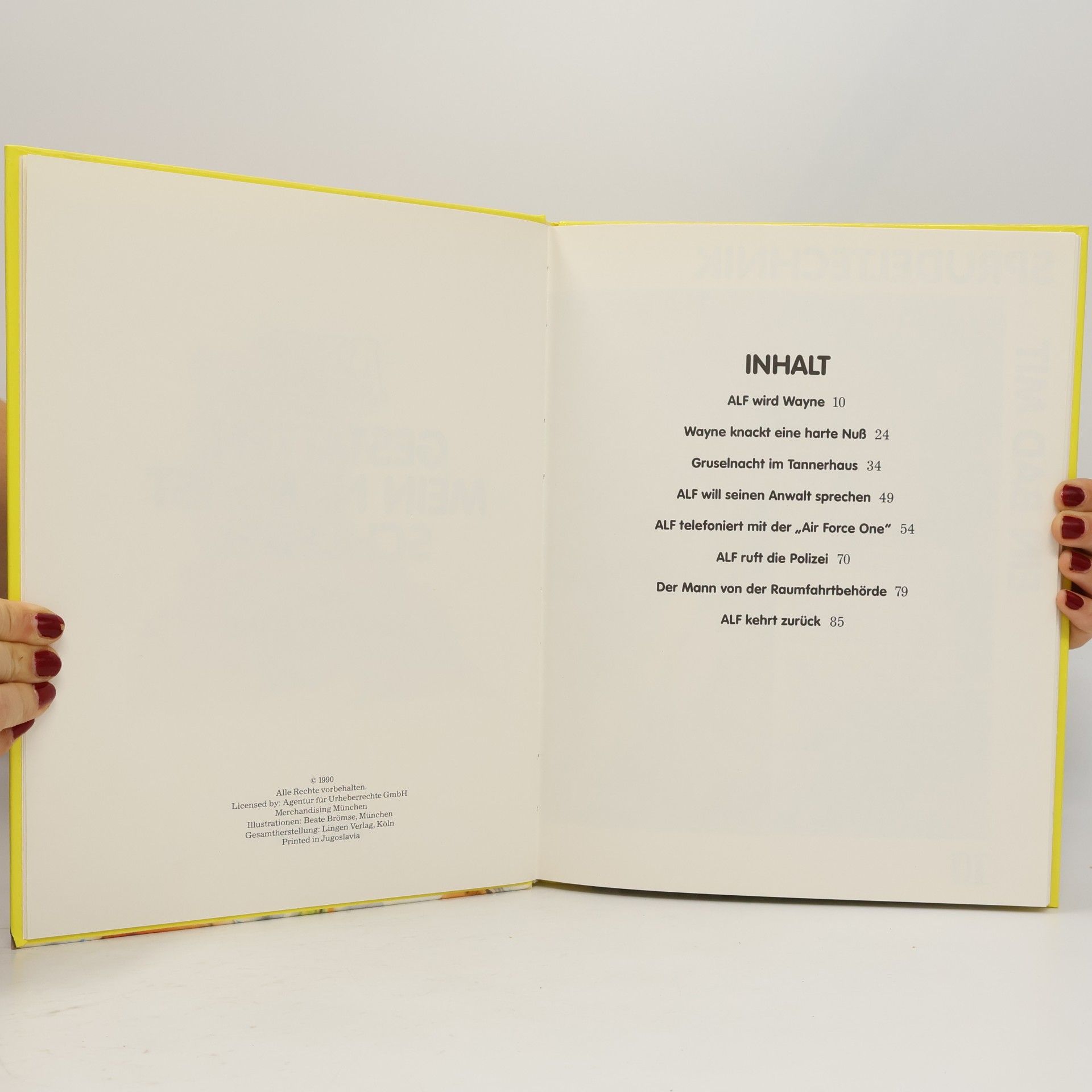Autorenkollektiv ALF. Gestatten, mein Name ist Schlegel