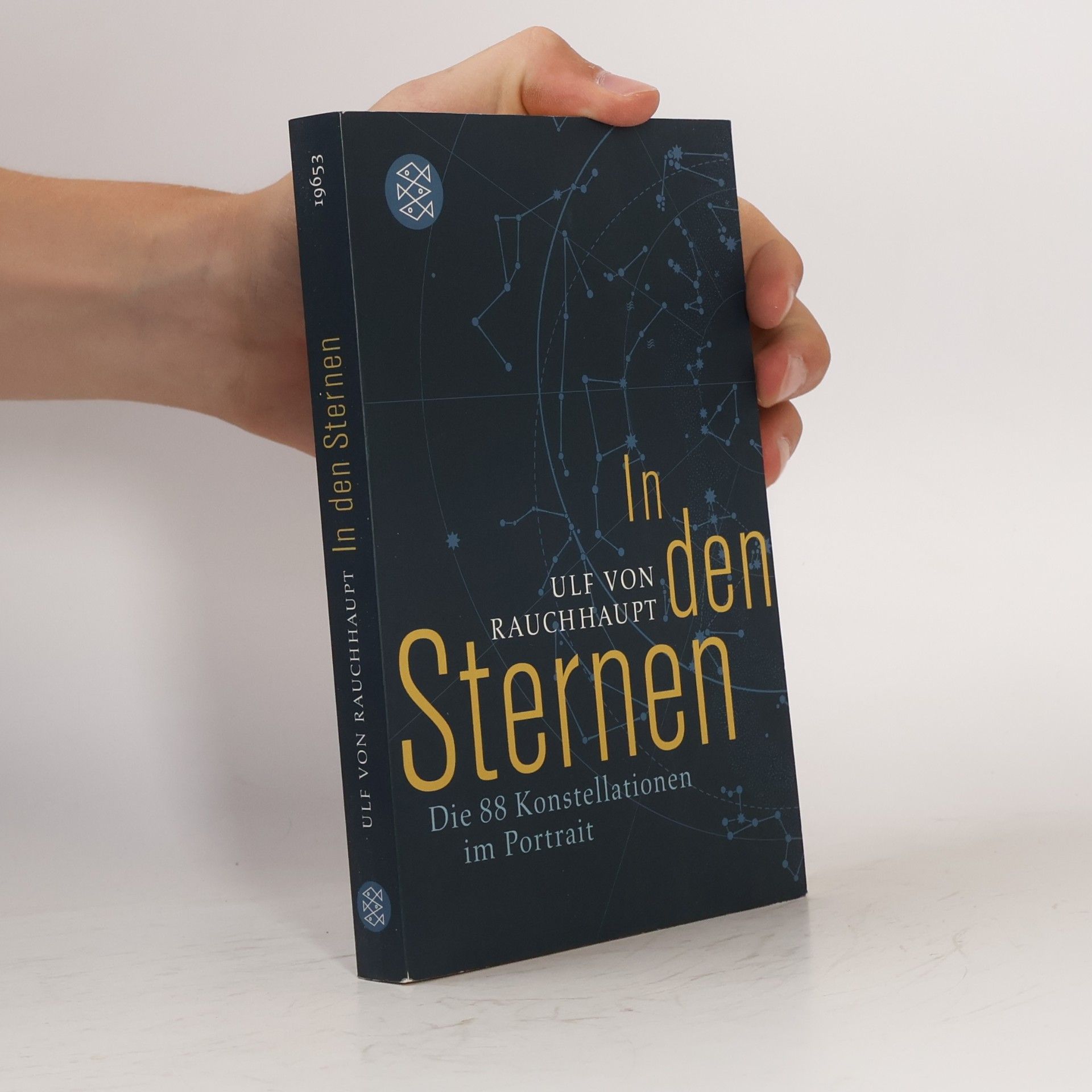 Ulf von Rauchhaupt In den Sternen