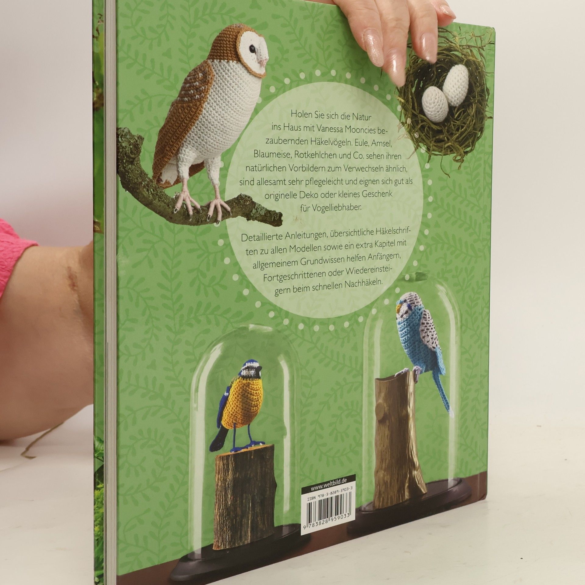 Vanessa Mooncie Meine kleine Vogelschar zum Häkeln