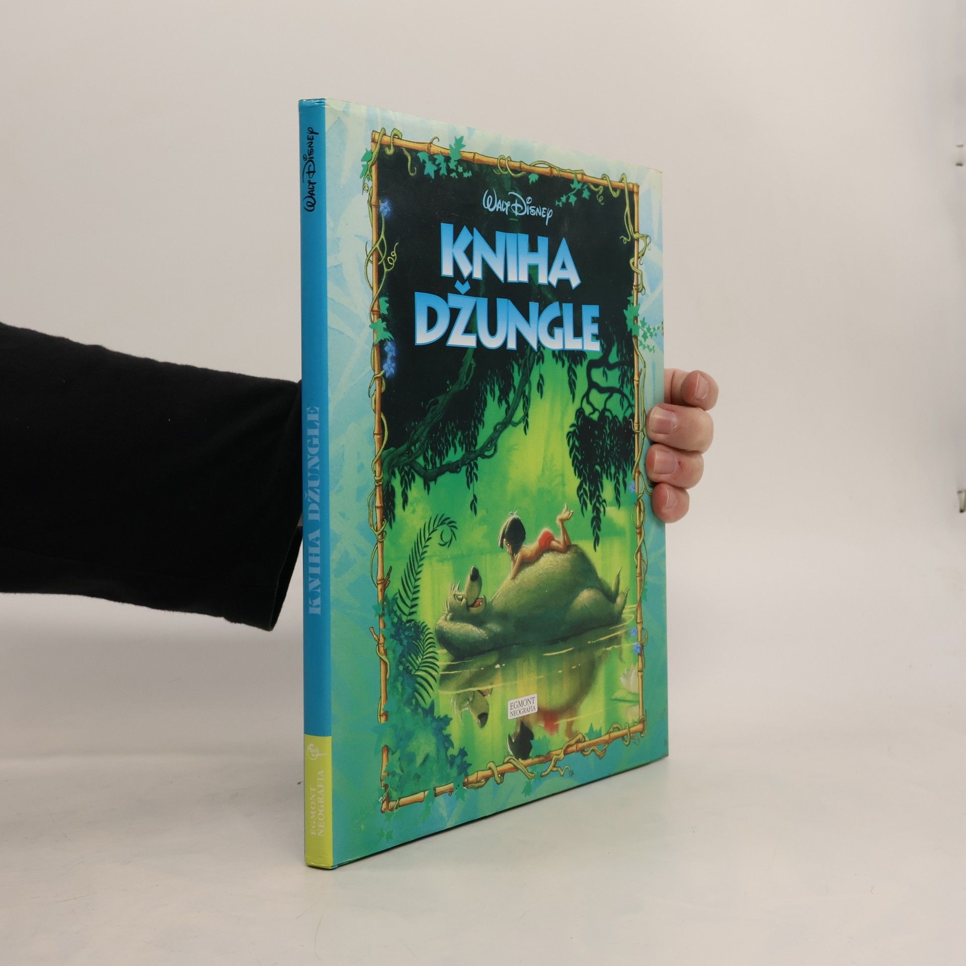 Jim Razzi Kniha džungle