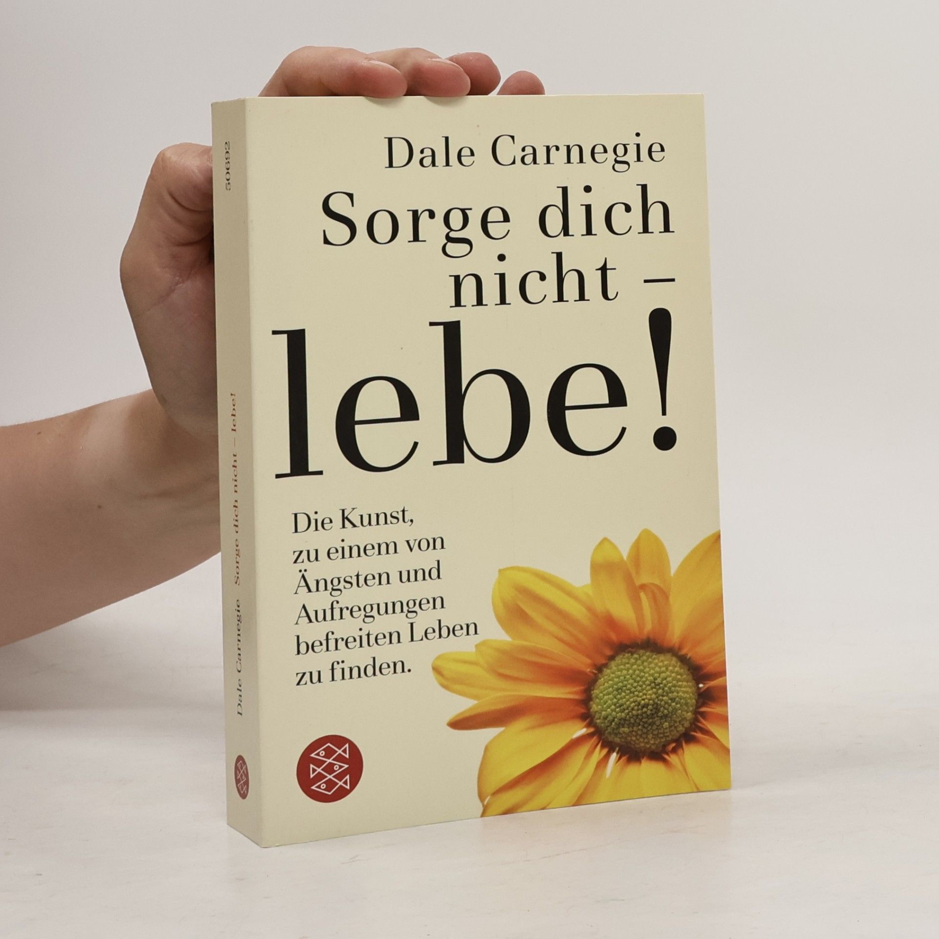 Dale Carnegie Sorge dich nicht - lebe!