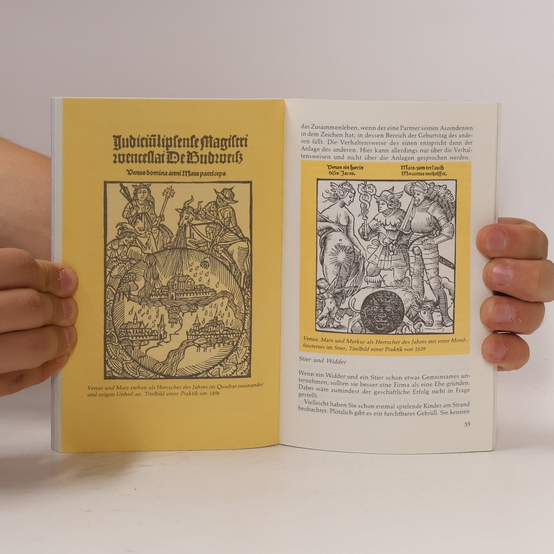 Autorenkollektiv Heyne-Tierkreis-Bücher. Stier : 21. April bis 20. Mai