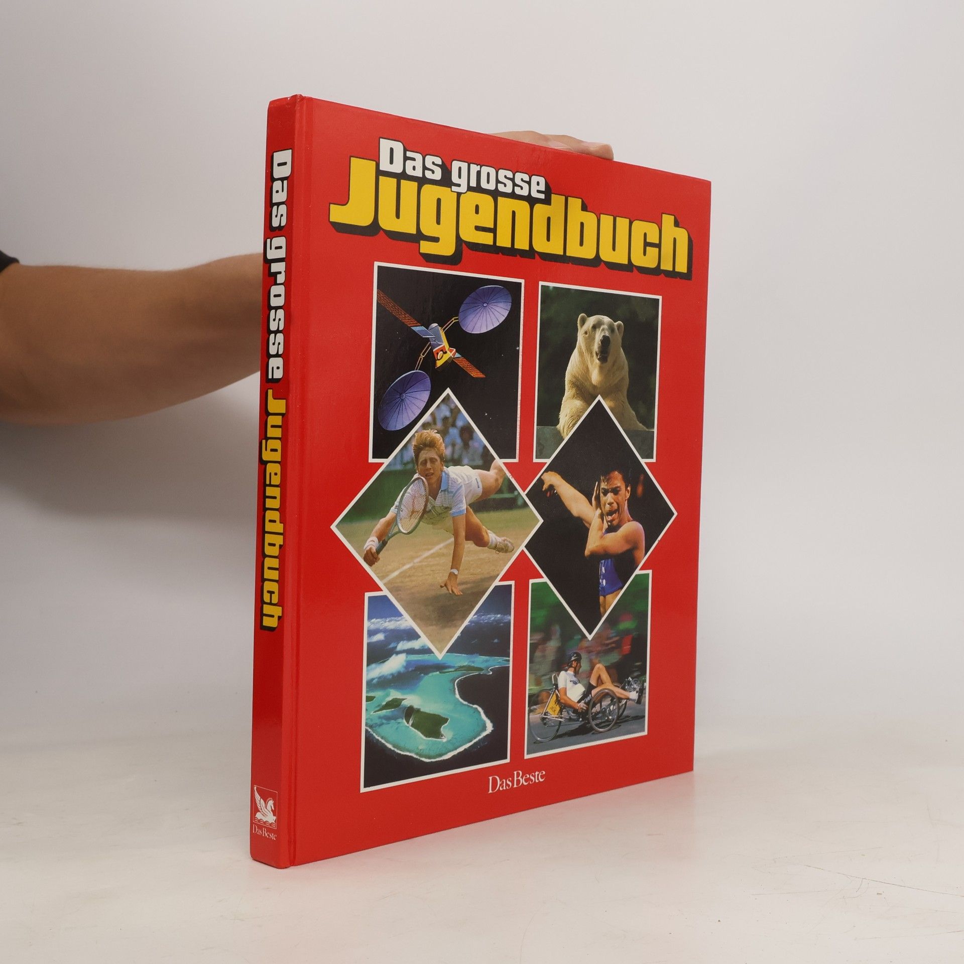 Kolektiv autorů Das große Jugendbuch. 28. Folge