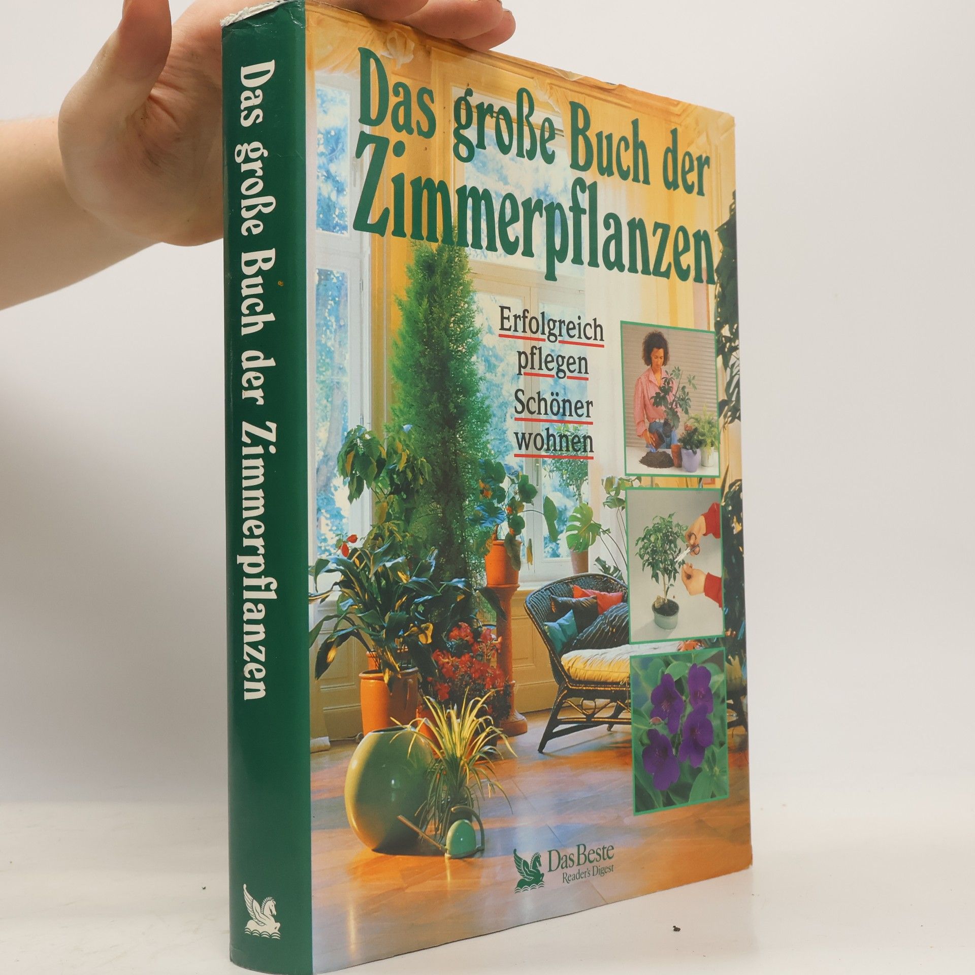 Autores varios Das große Buch der Zimmerpflanzen