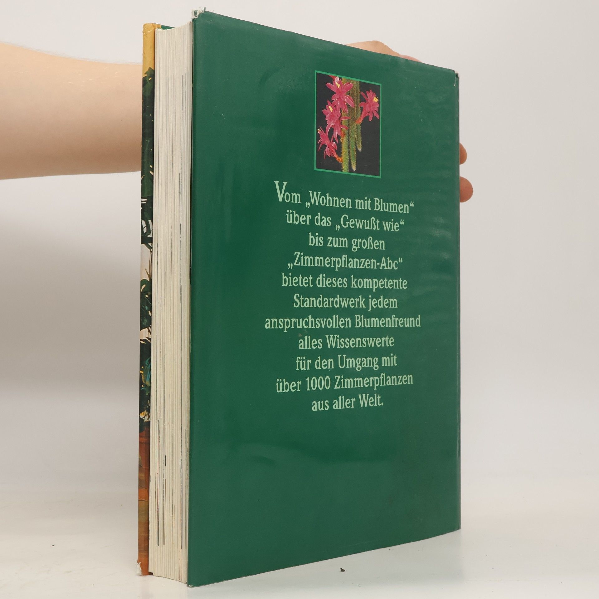 Autorenkollektiv Das große Buch der Zimmerpflanzen