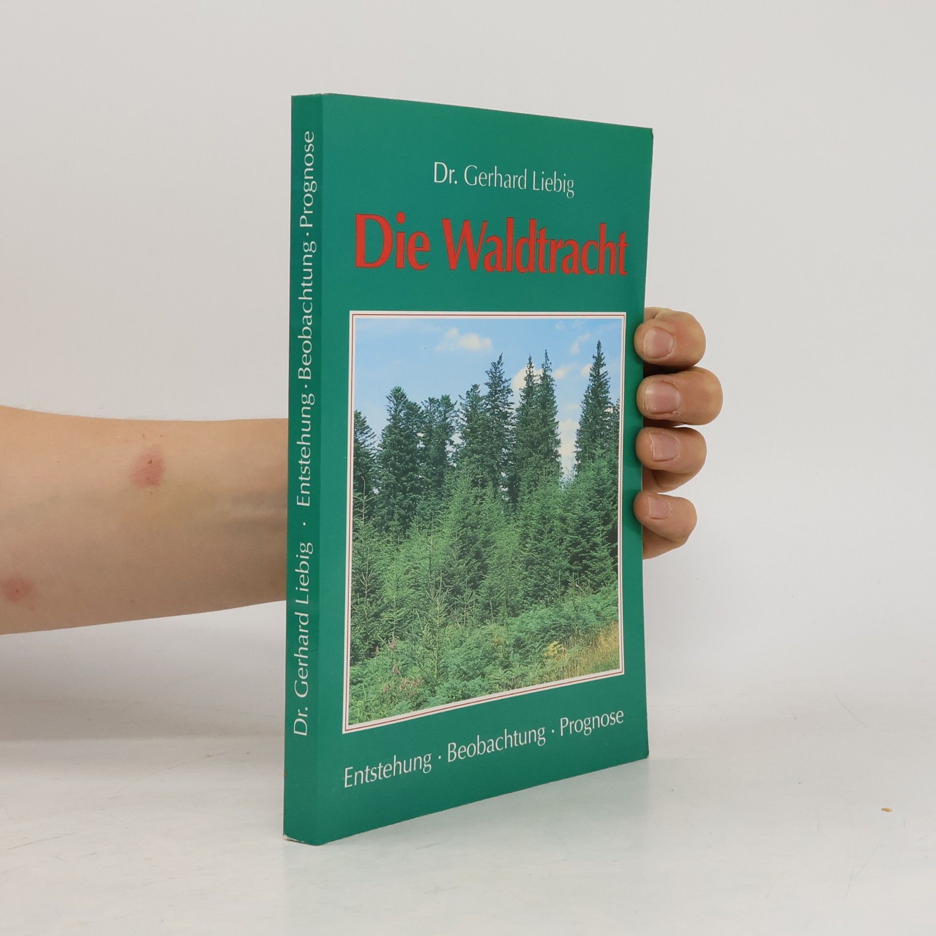 Die Waldtracht