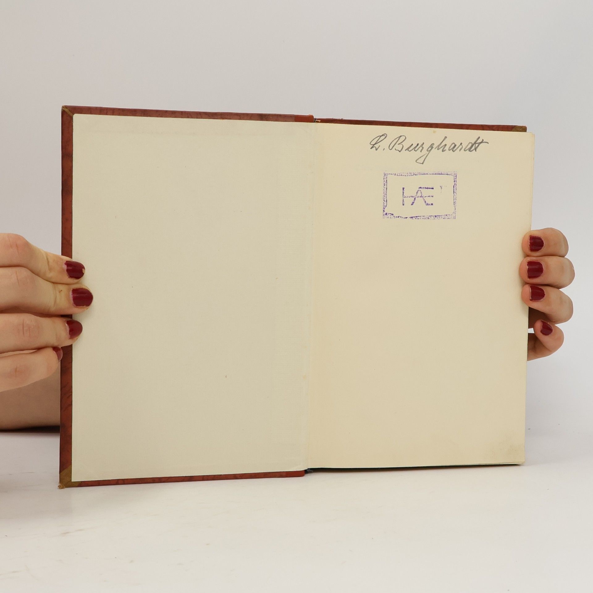 Clara Viebig Unter dem Freiheitsbaum