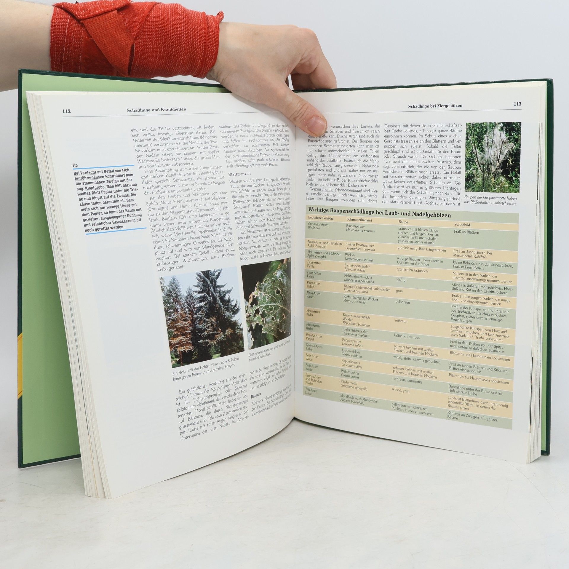 Autorenkollektiv Der grosse ADAC-Ratgeber Garten