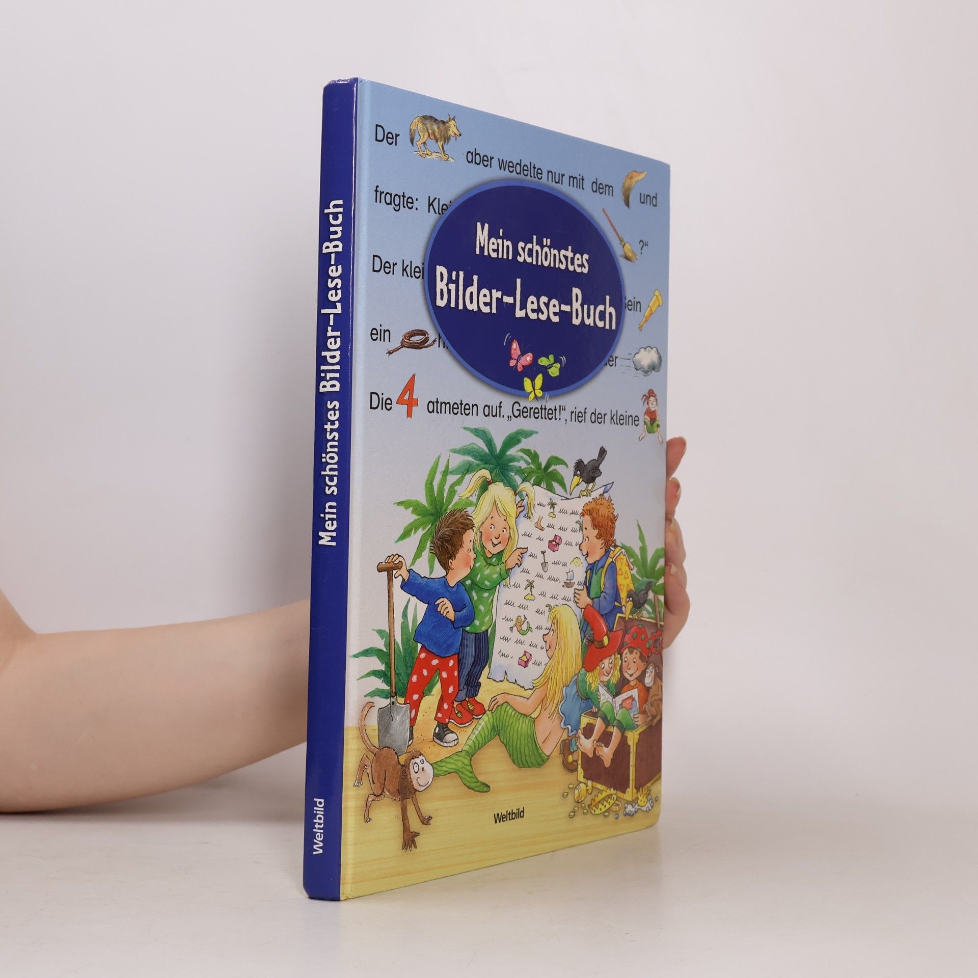 Autorenkollektiv Mein schönstes Bilder-Lese-Buch
