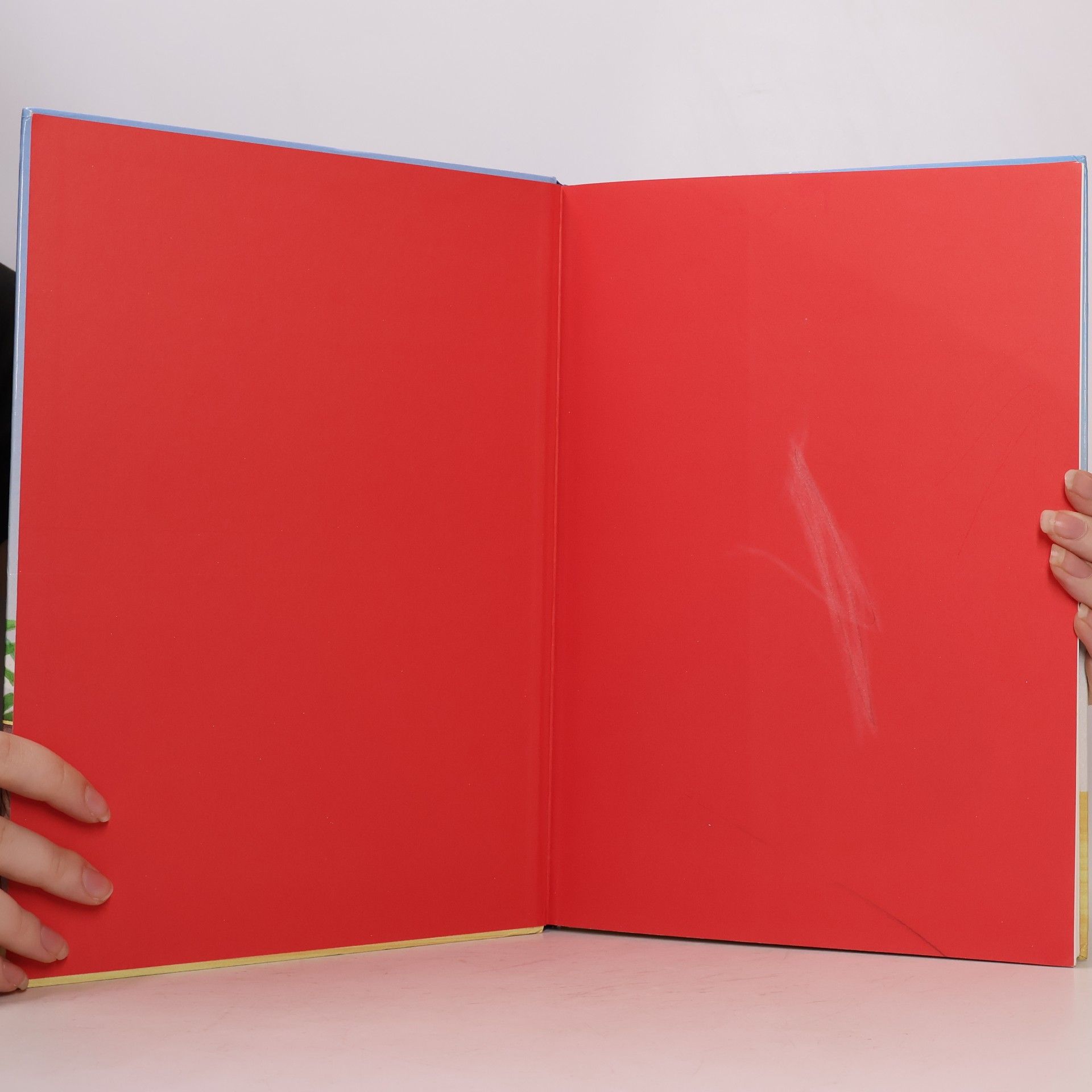 Autorenkollektiv Mein schönstes Bilder-Lese-Buch