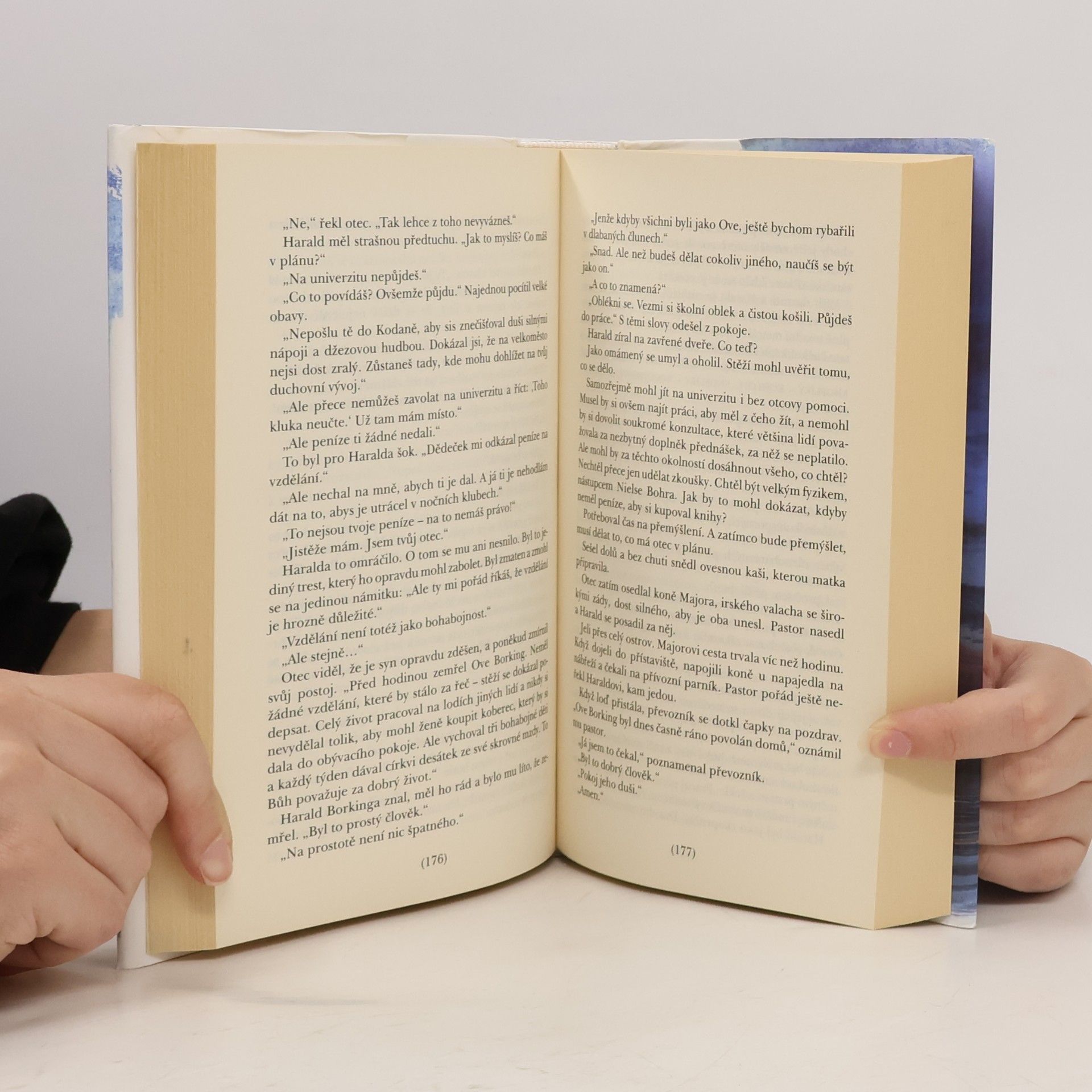 Ken Follett Sršeň létá v noci