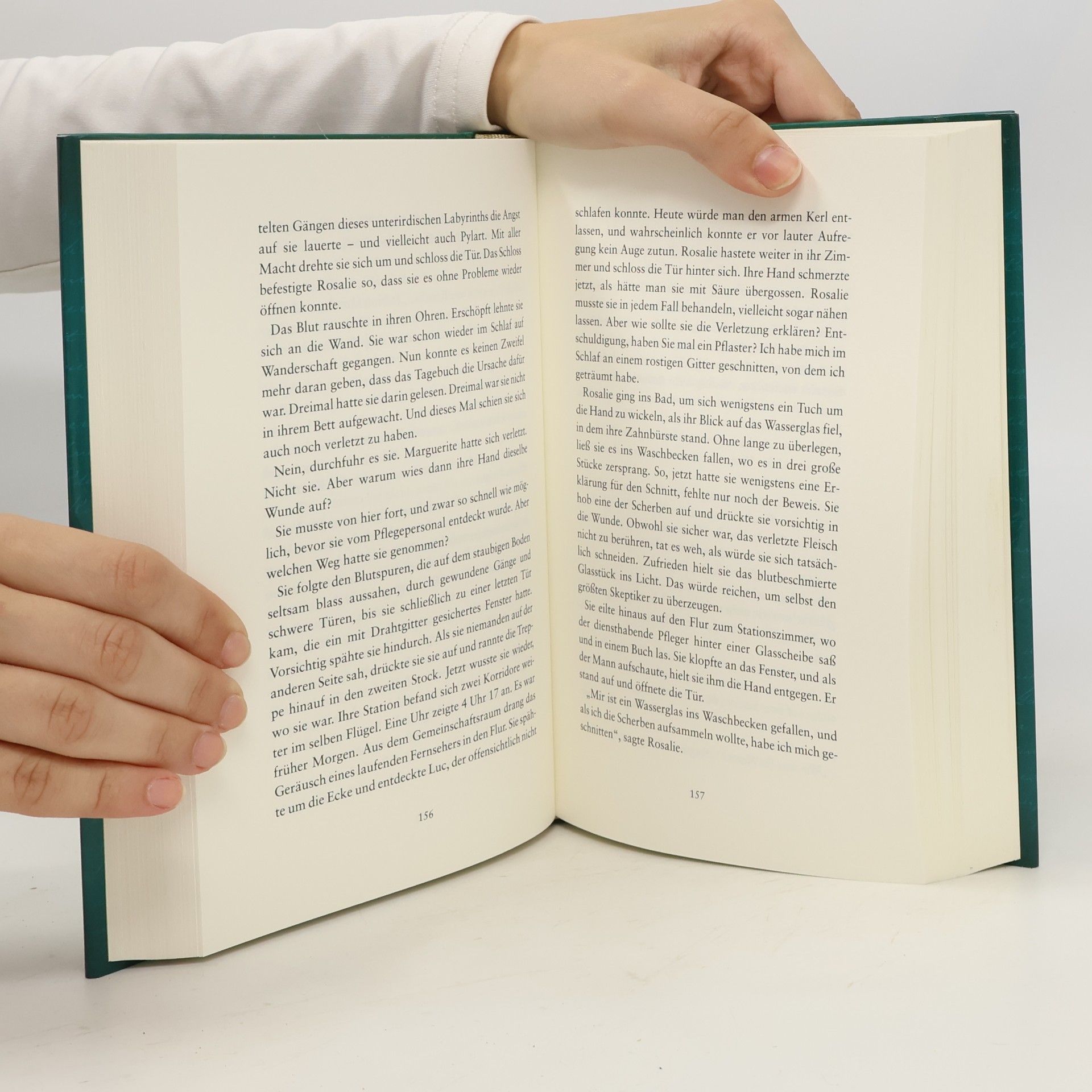 Peter Schwindt Libri mortis