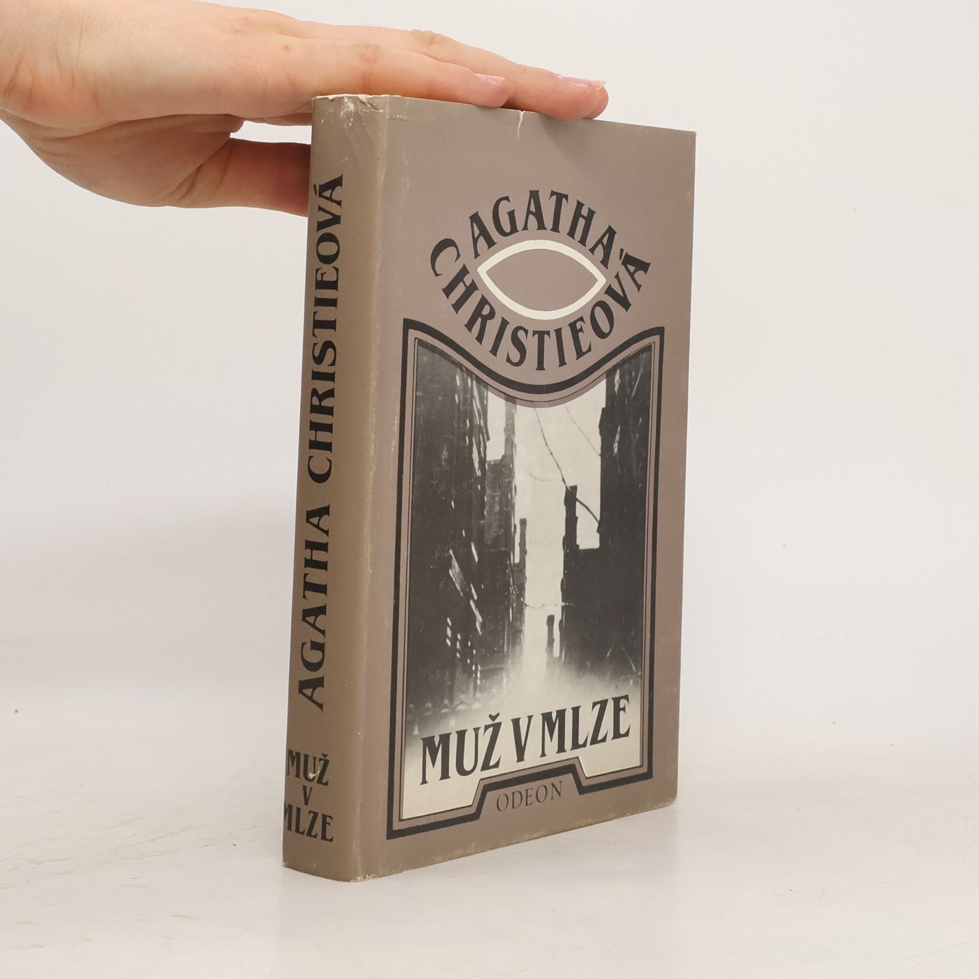 Agatha Christie Muž v mlze