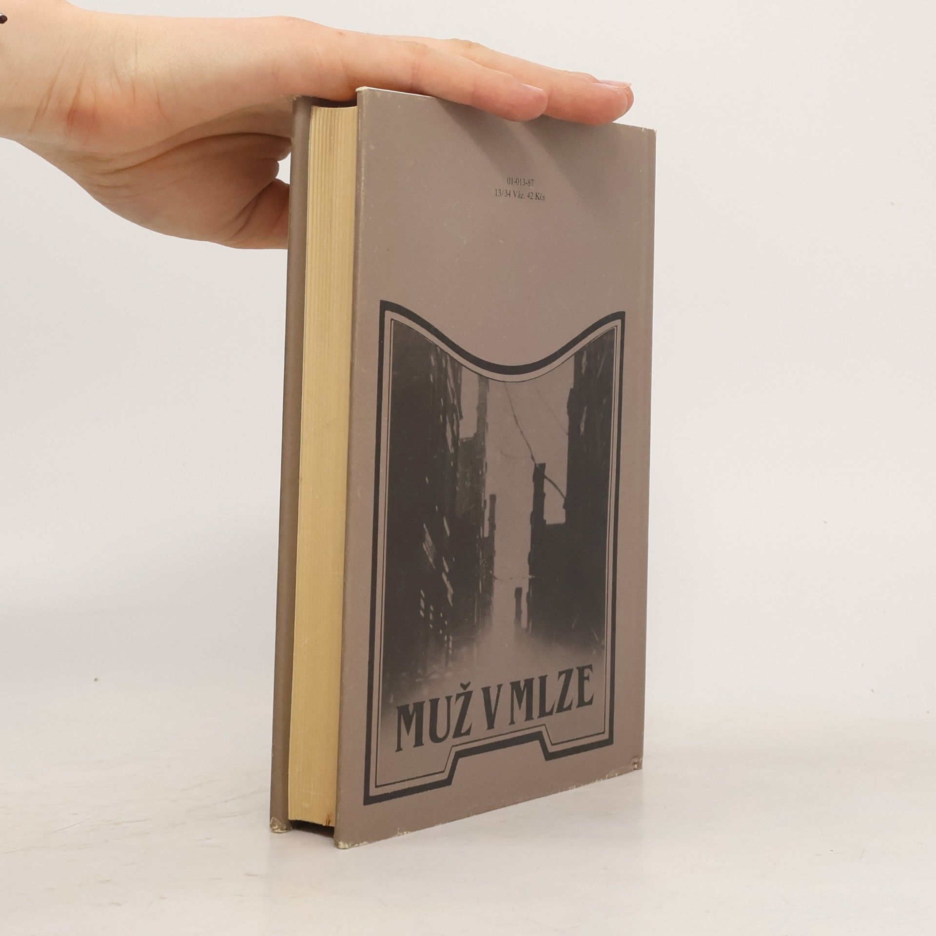 Agatha Christie Muž v mlze