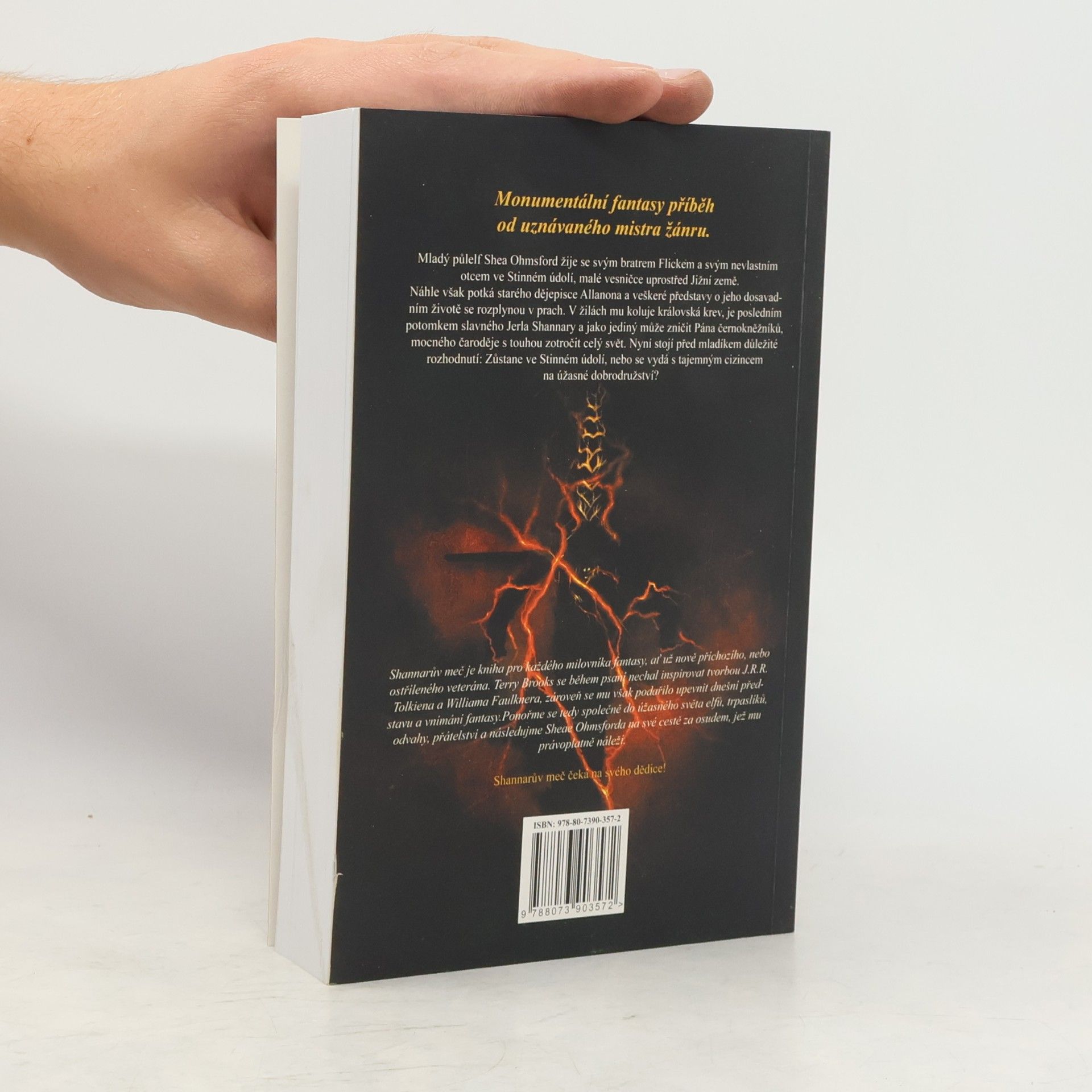Terry Brooks Shannarův meč